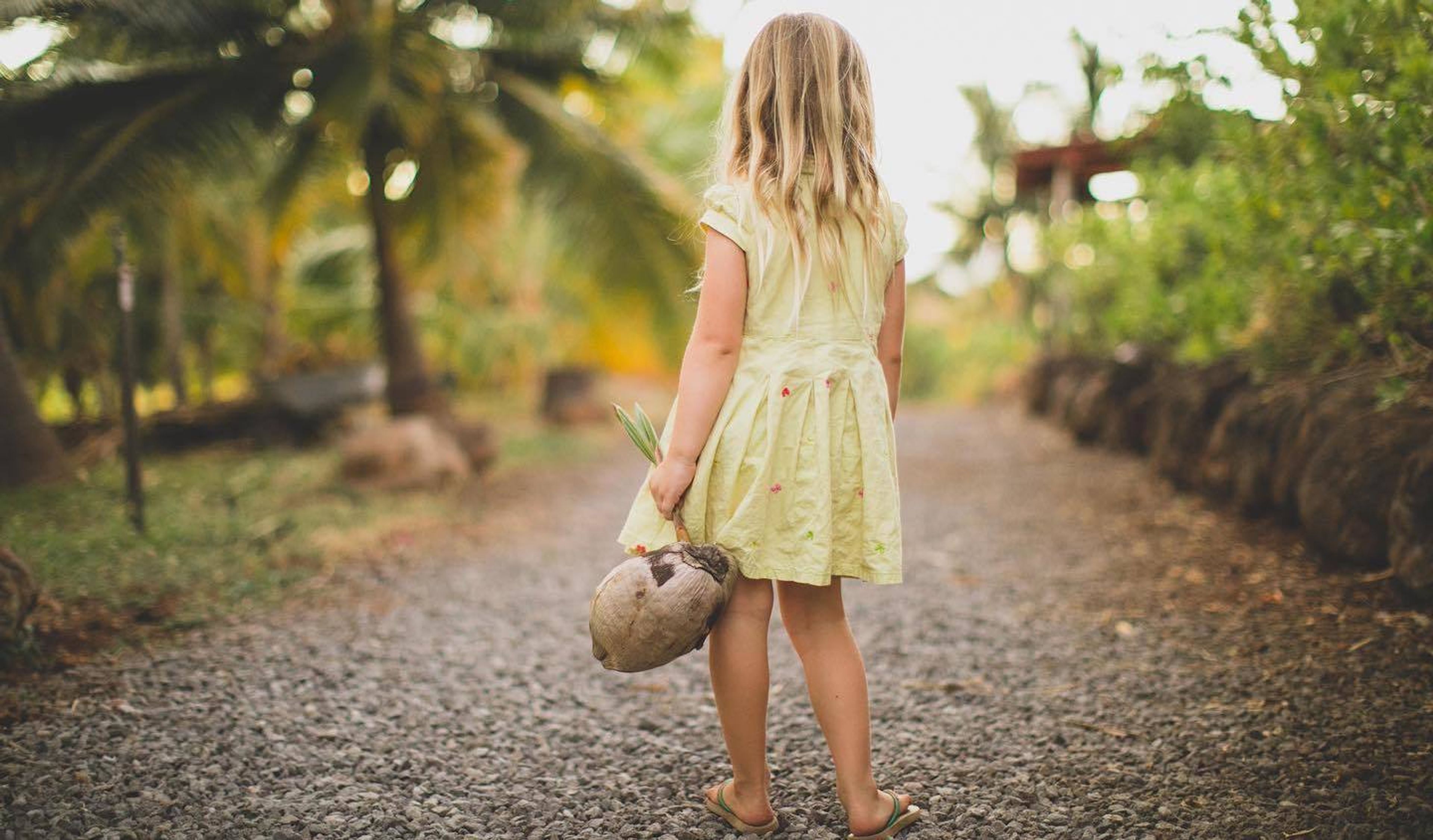 Cover photo of Punakea Palms