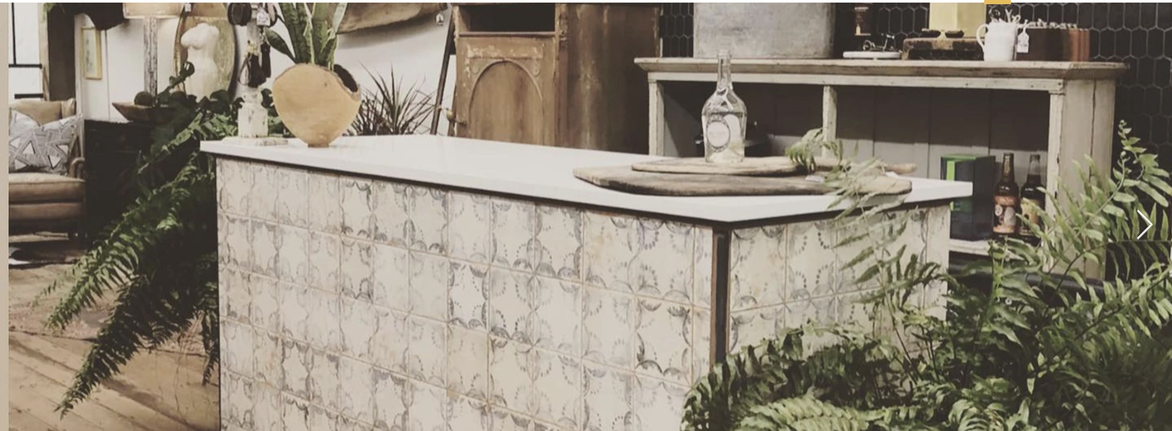 Cover photo of Blue Fern Merchant