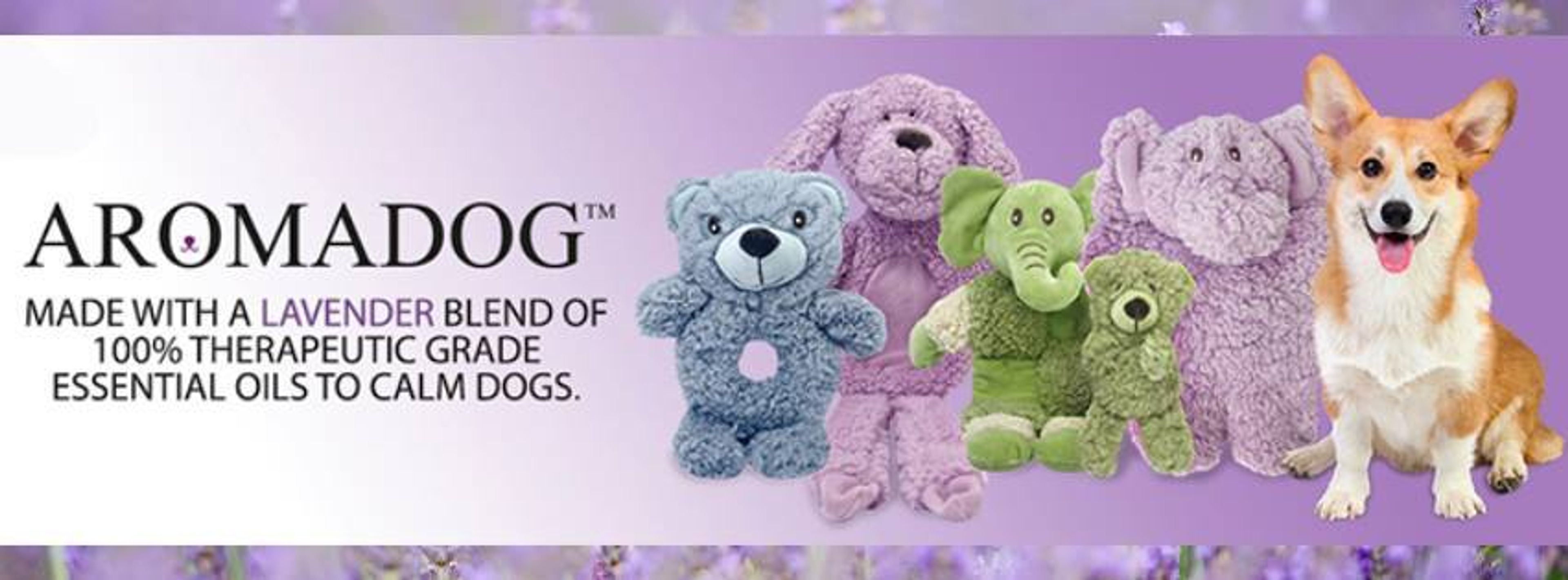 Cover photo of MultiPet