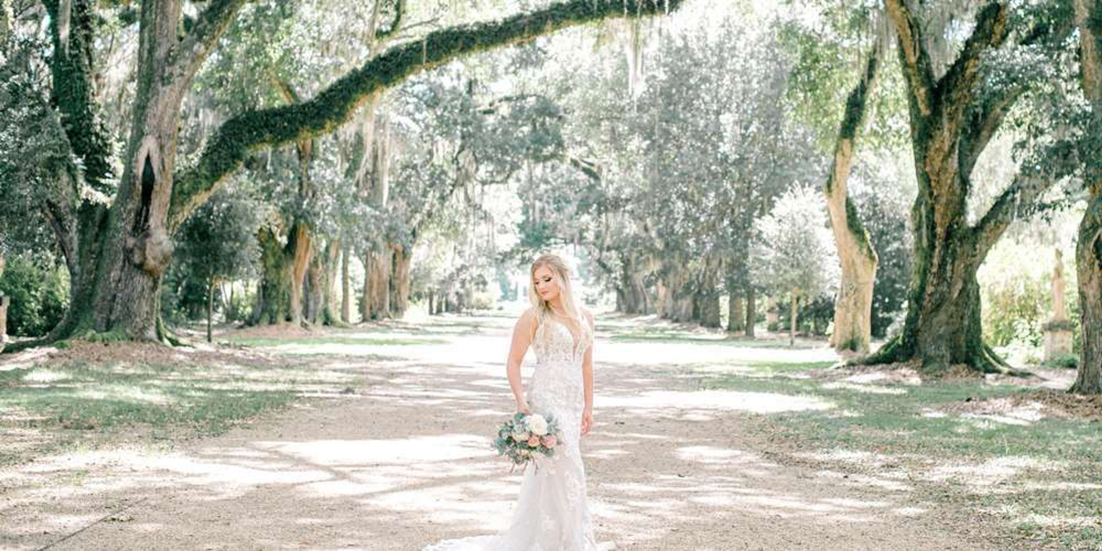 Cover photo of Dee Olmstead Photography