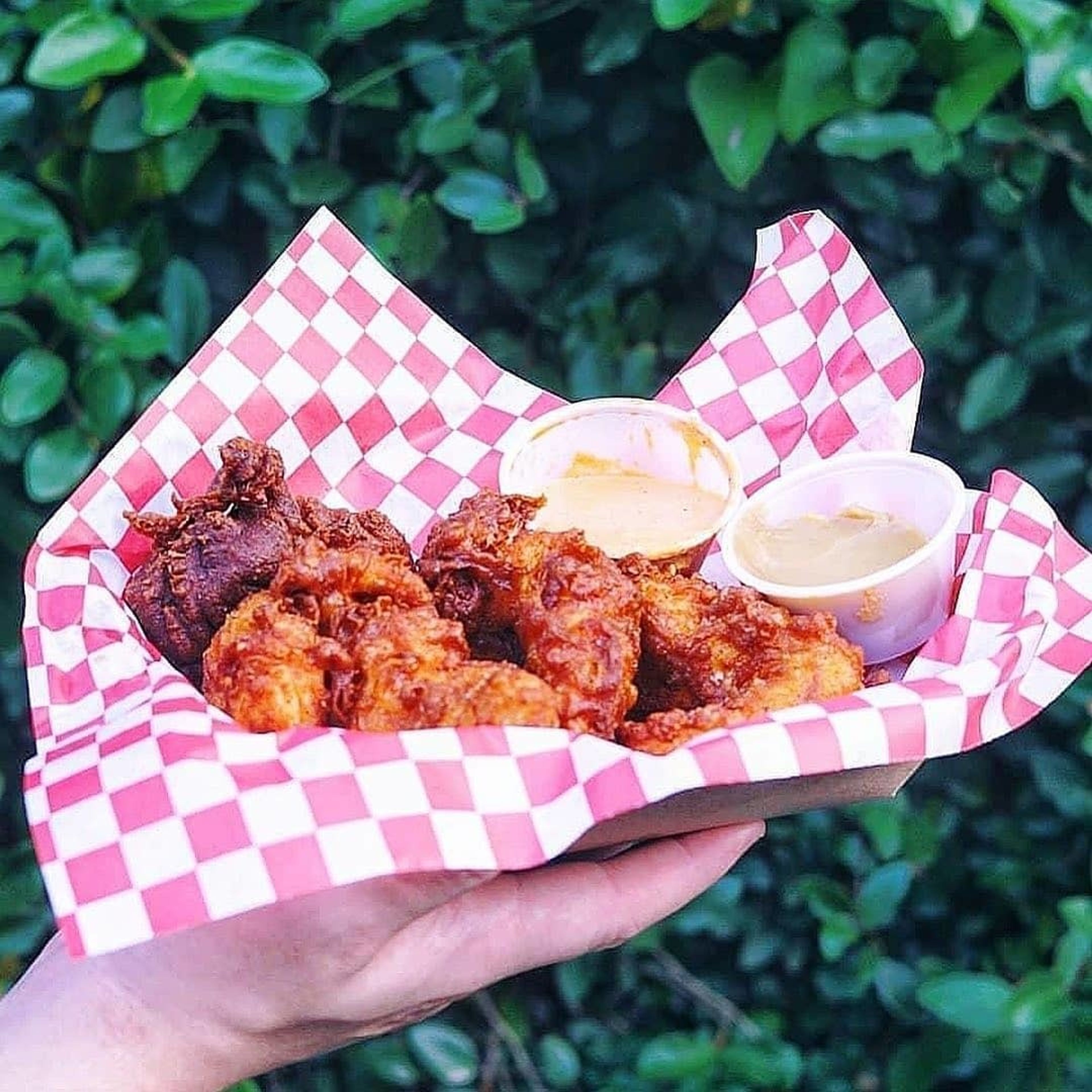 Cover photo of Foxes Fried