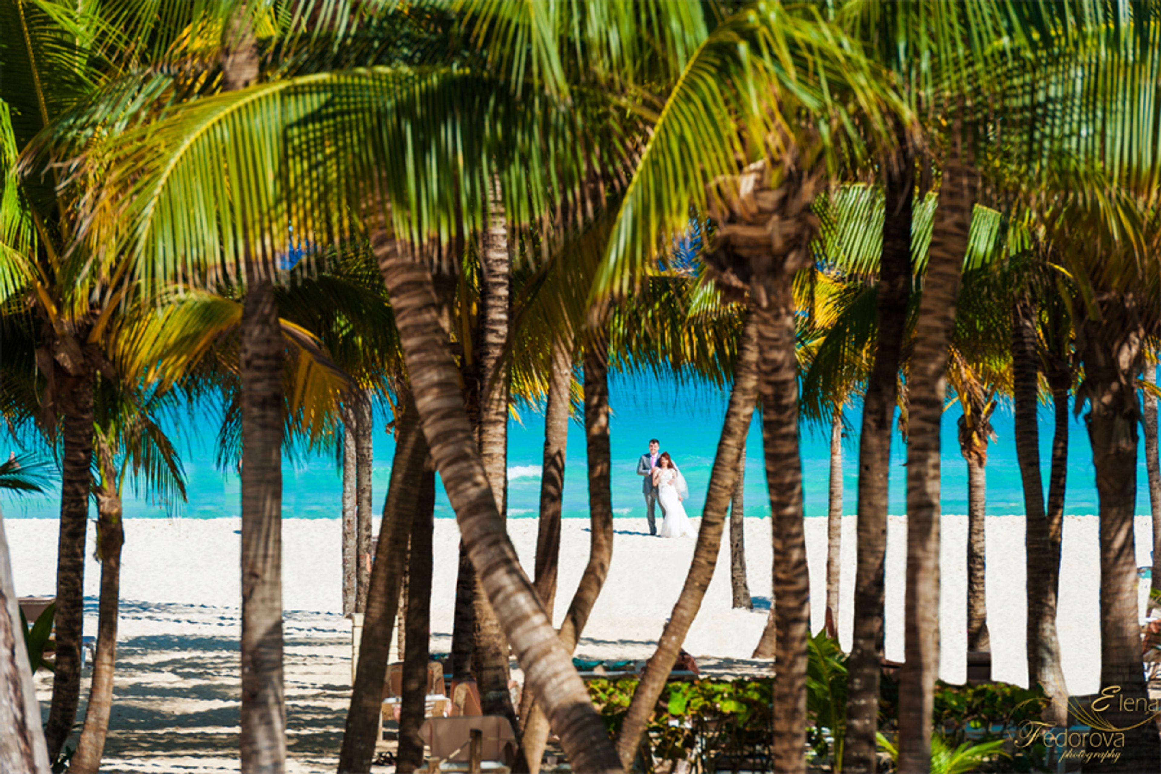 Cover photo of EF photography