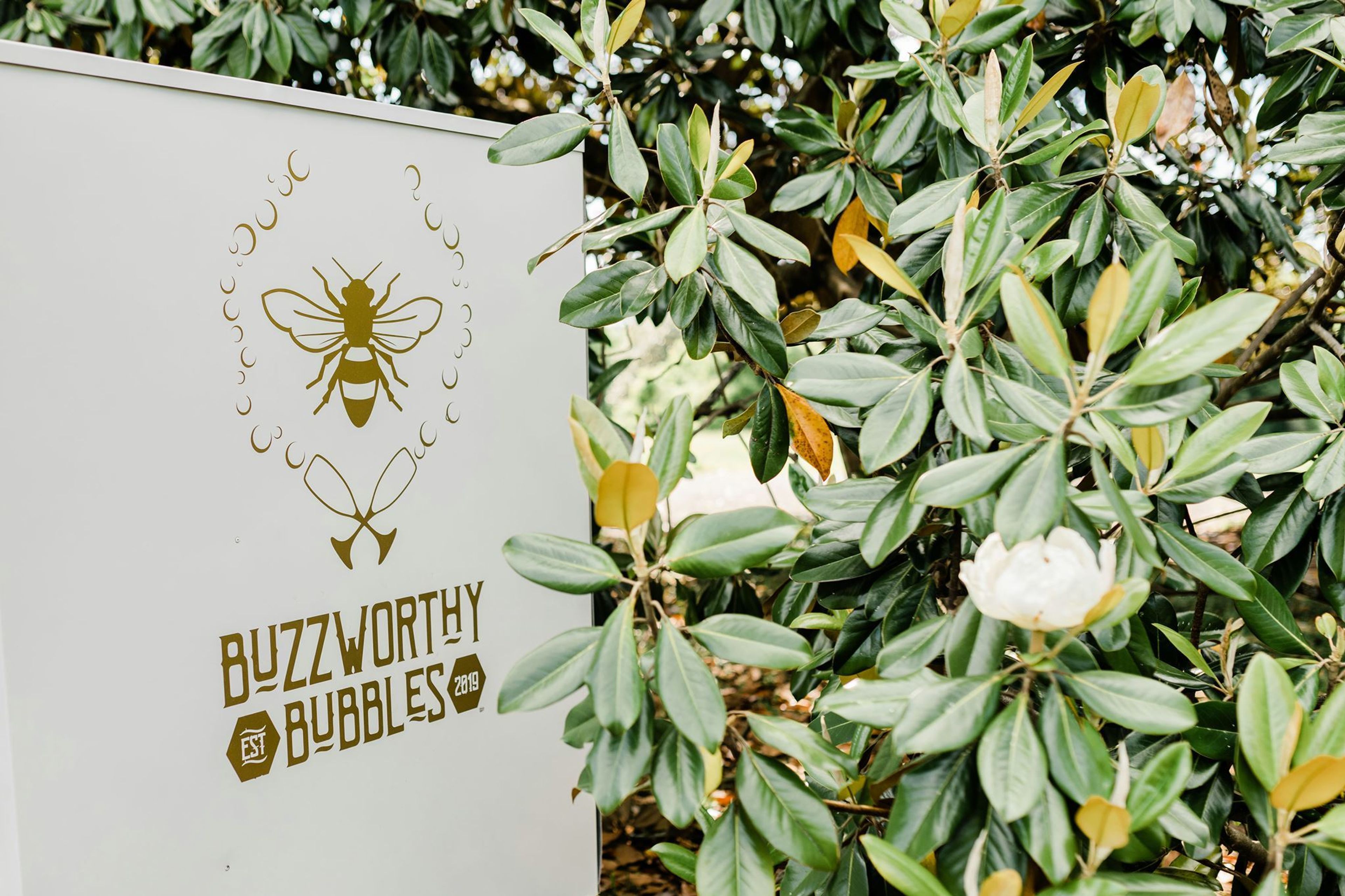 Cover photo of Buzzworthy Bubbles