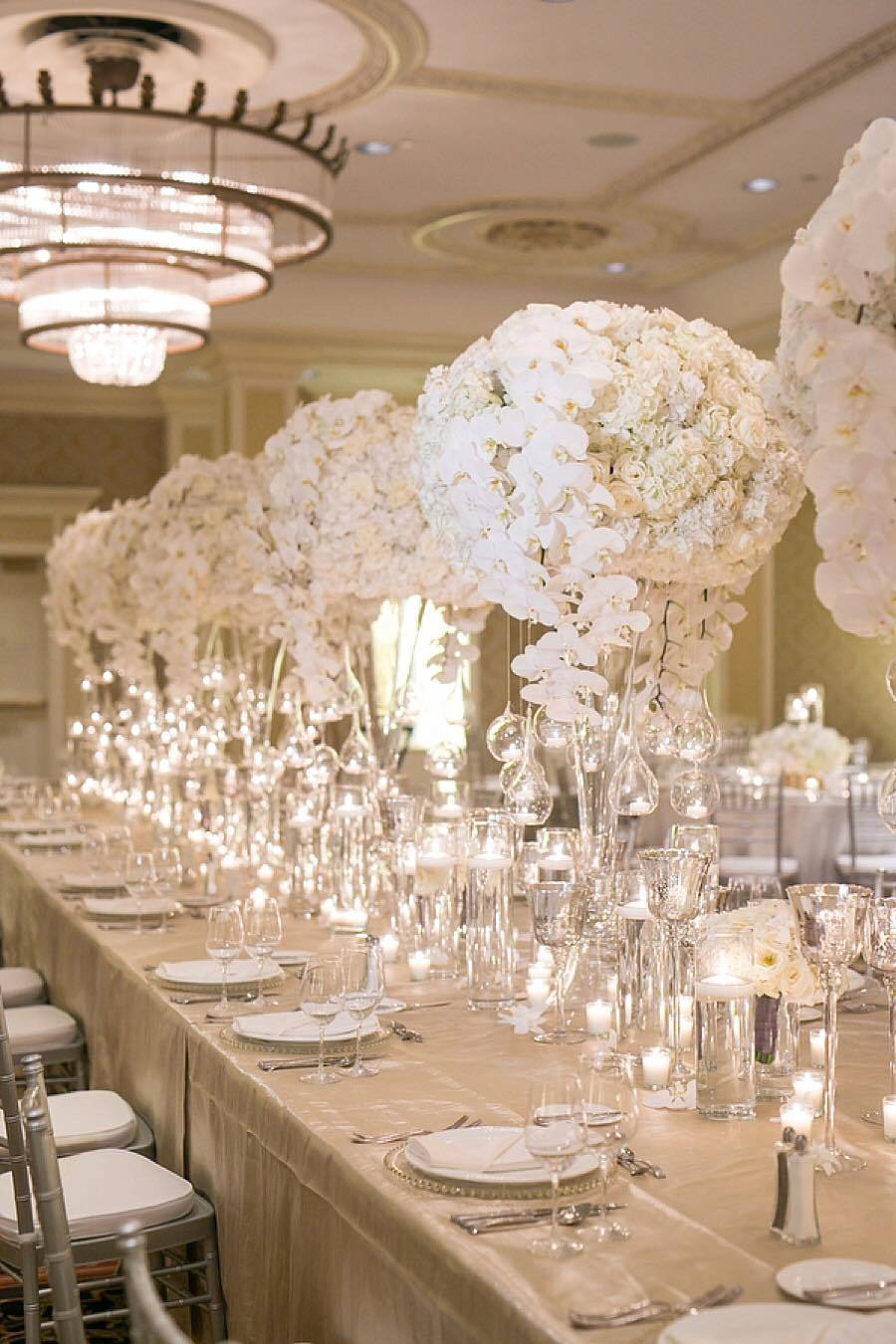 Cover photo of Bella Blooms