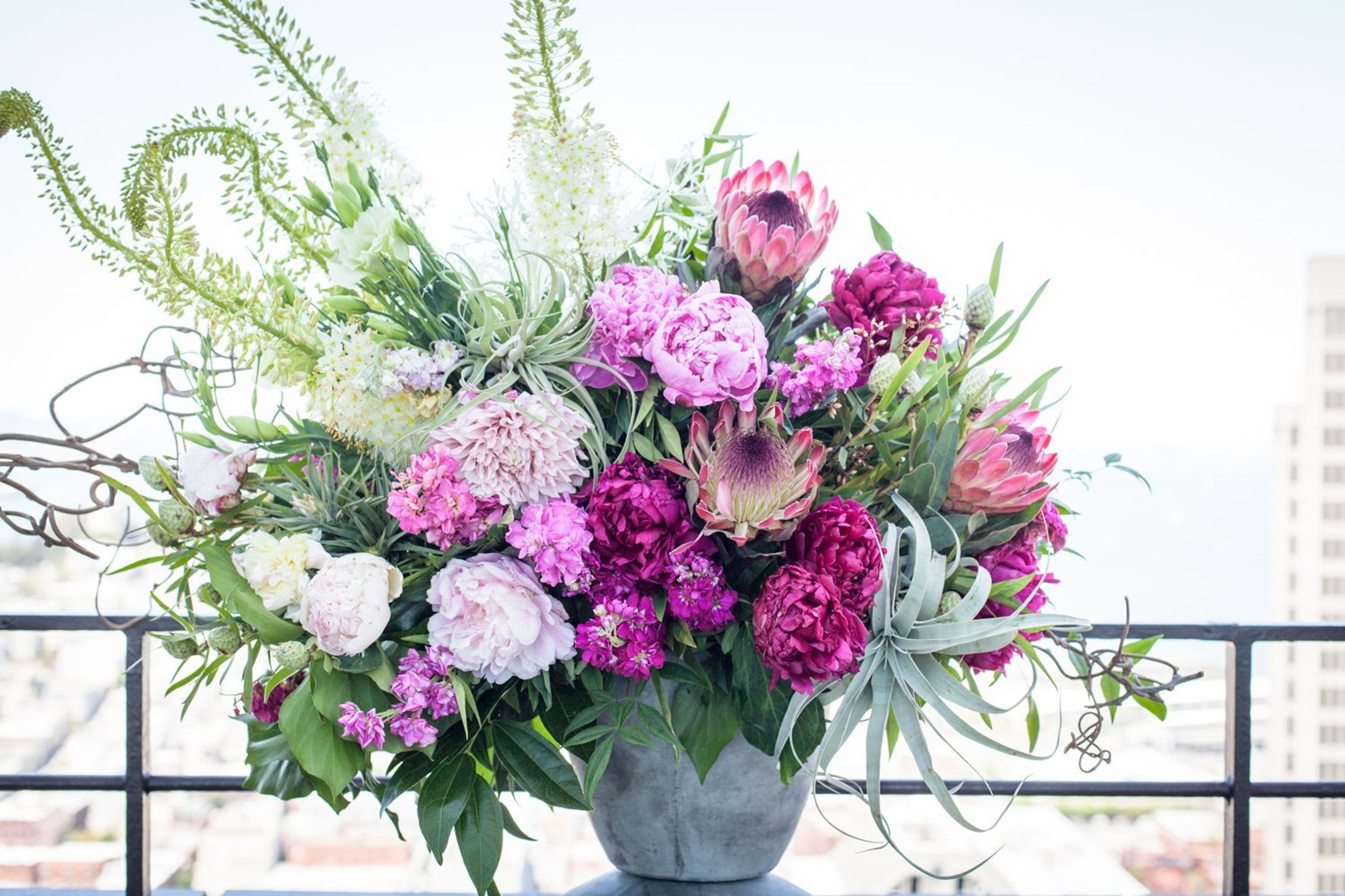 Cover photo of Menlo Botanica