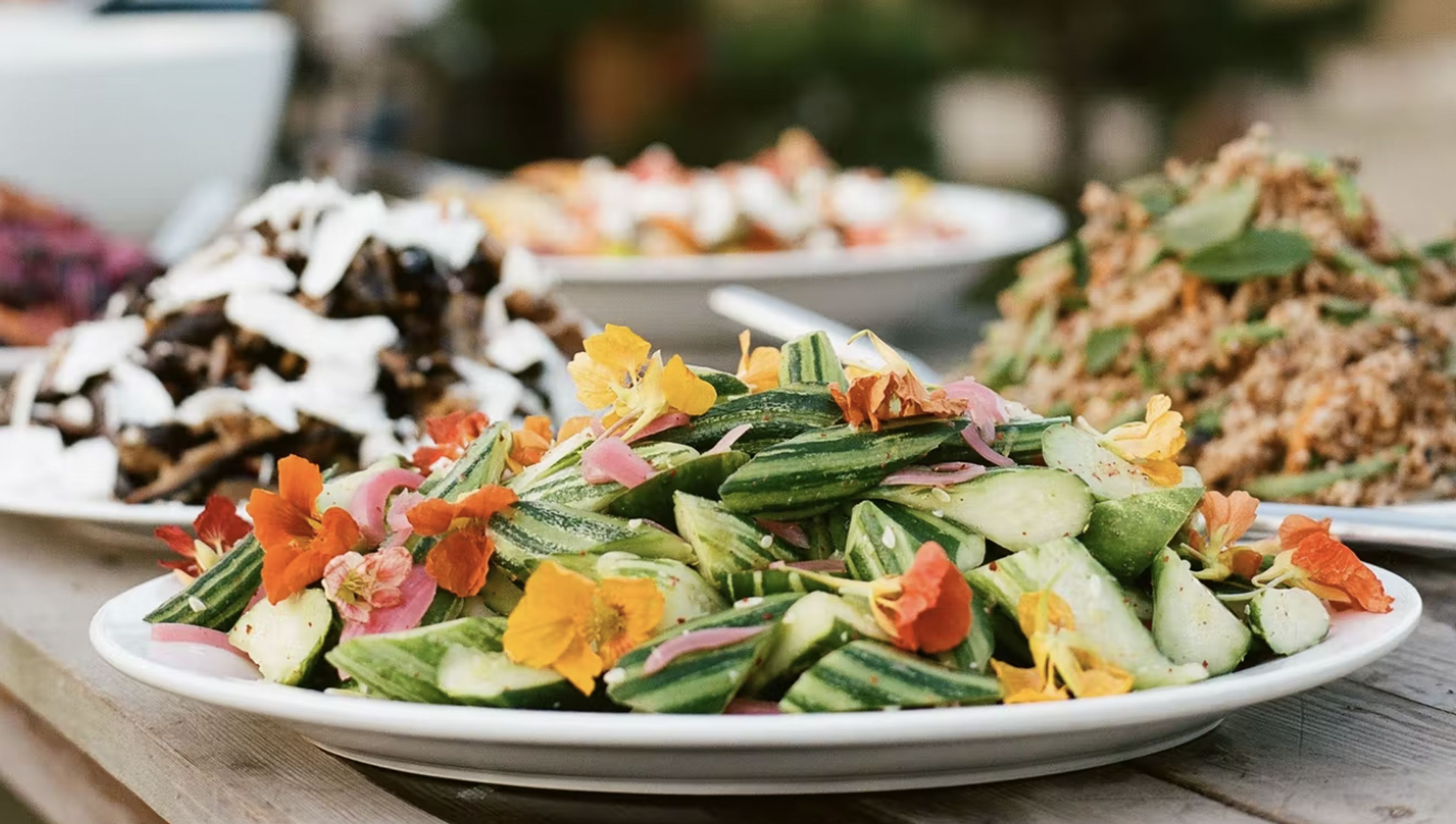 Cover photo of Molly Levine