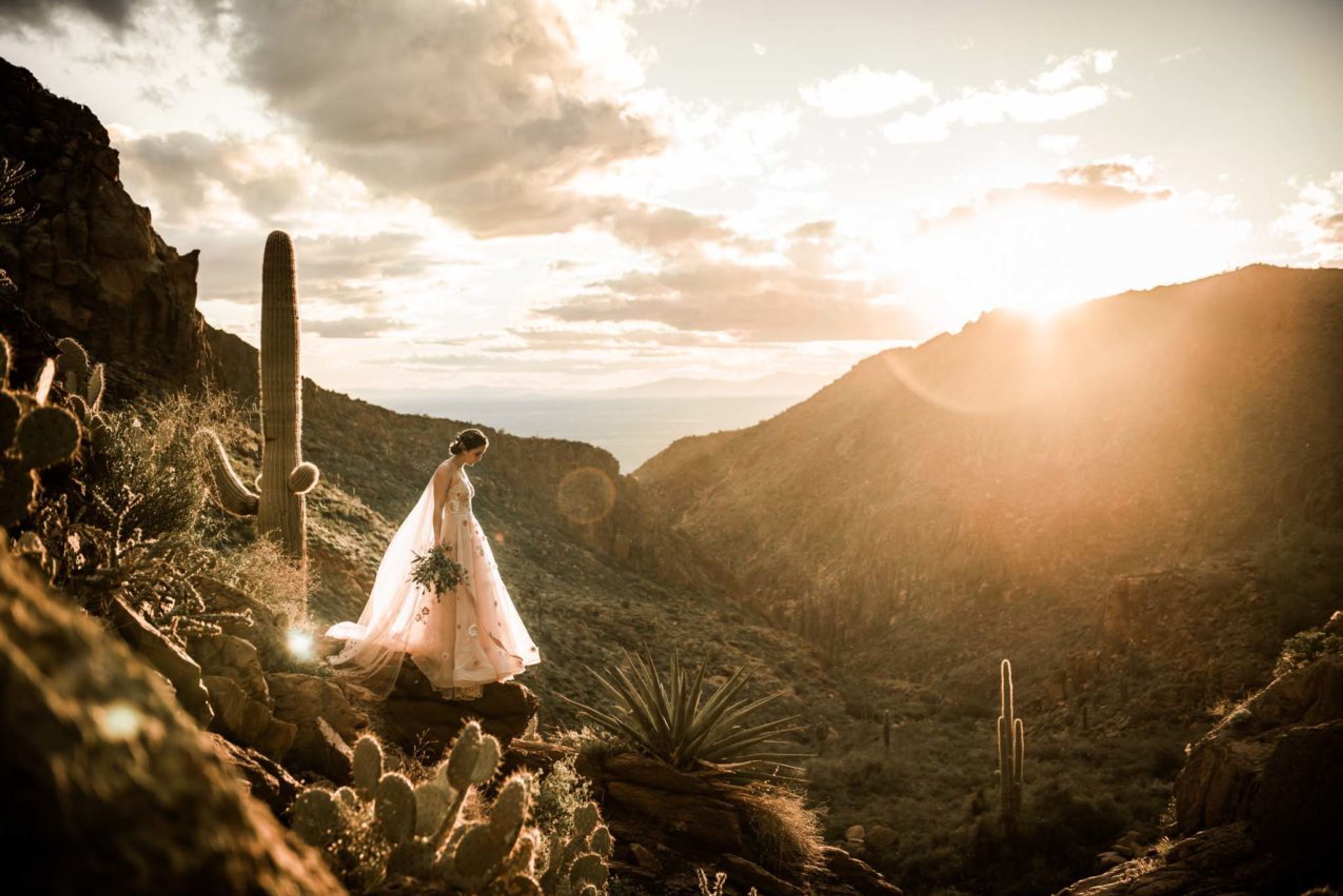 Cover photo of Dionne Kraus Photography