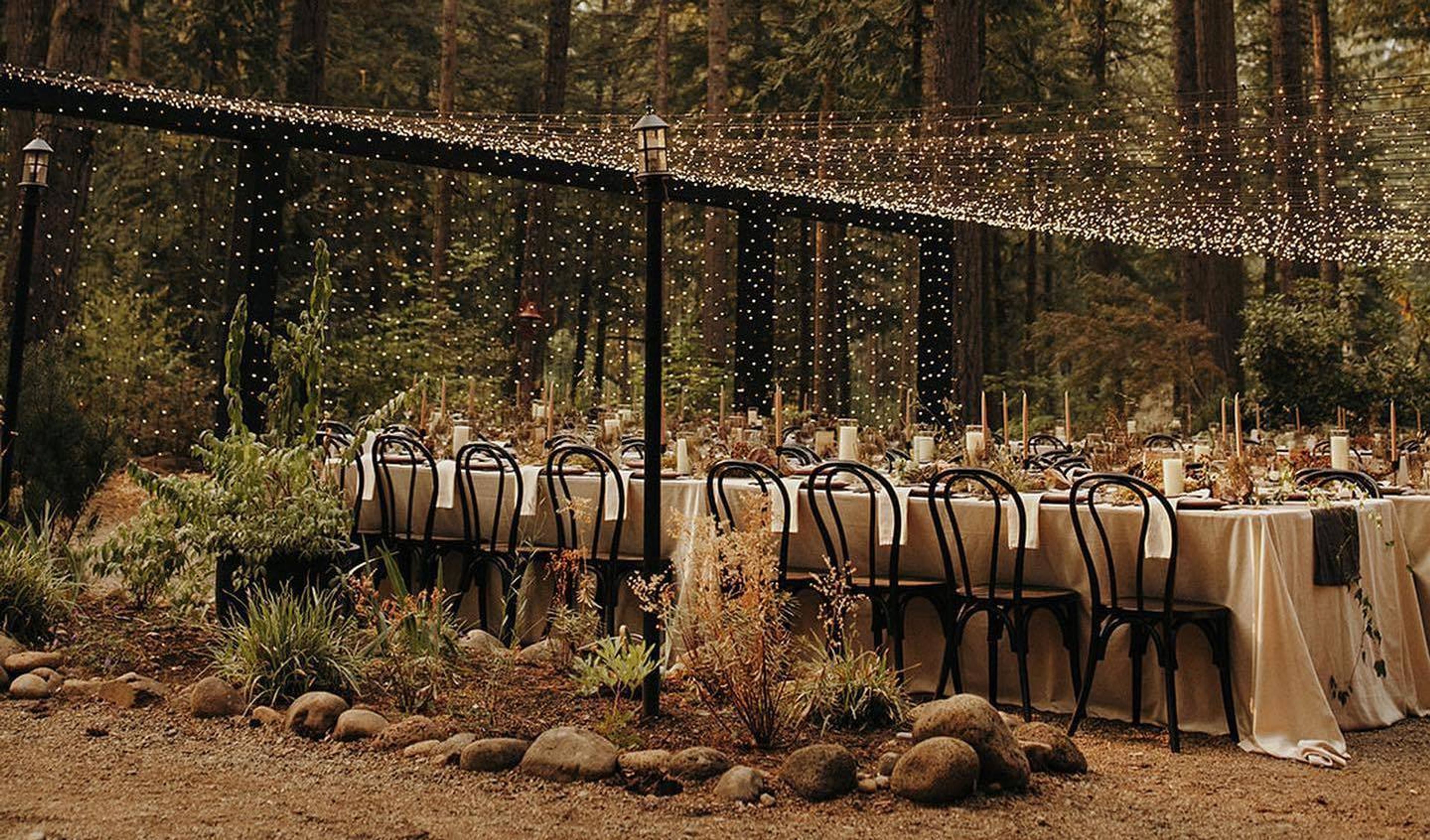 Cover photo of Mae and Co Creative