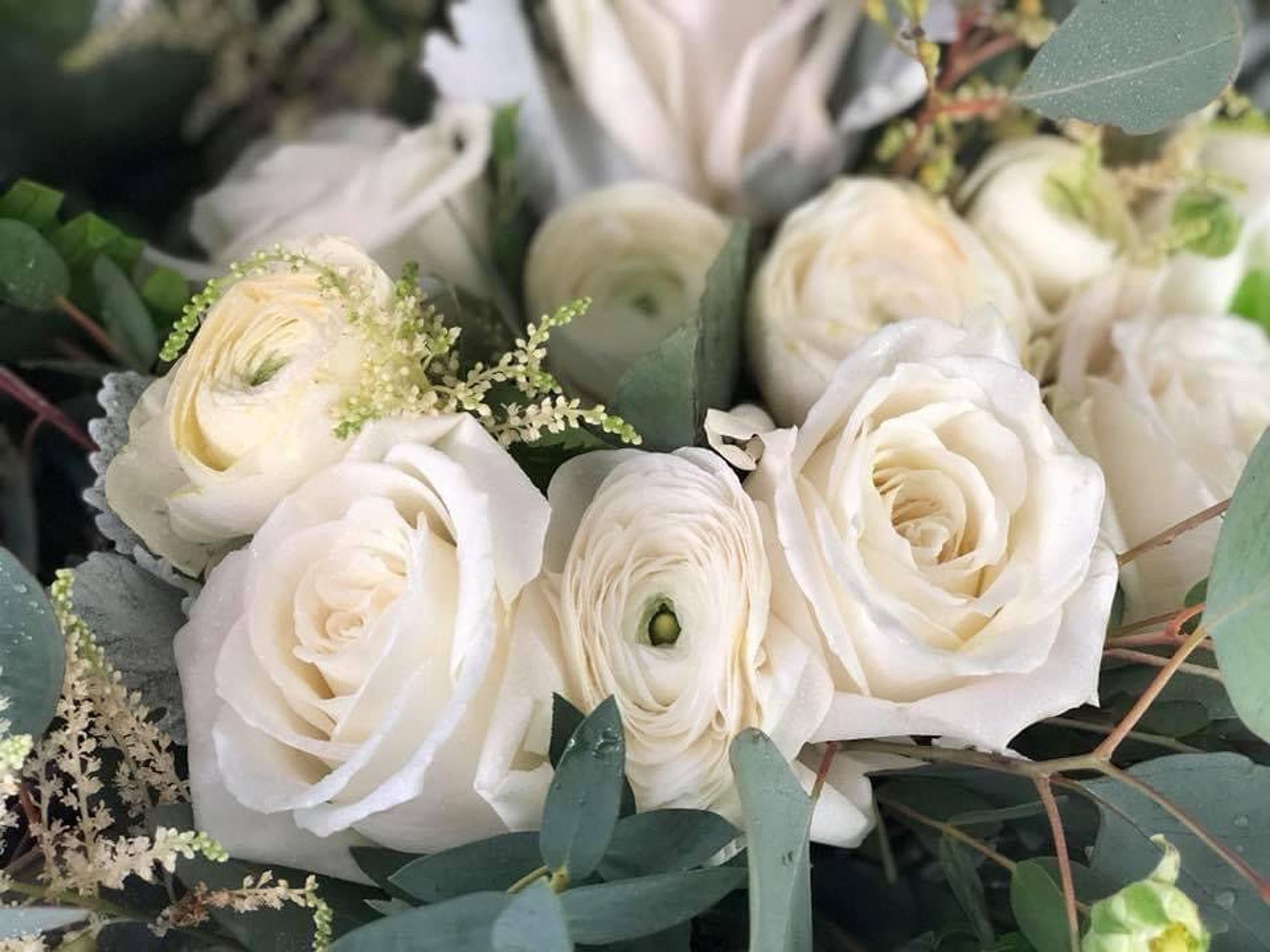 Cover photo of The Flower Shop Bluffton