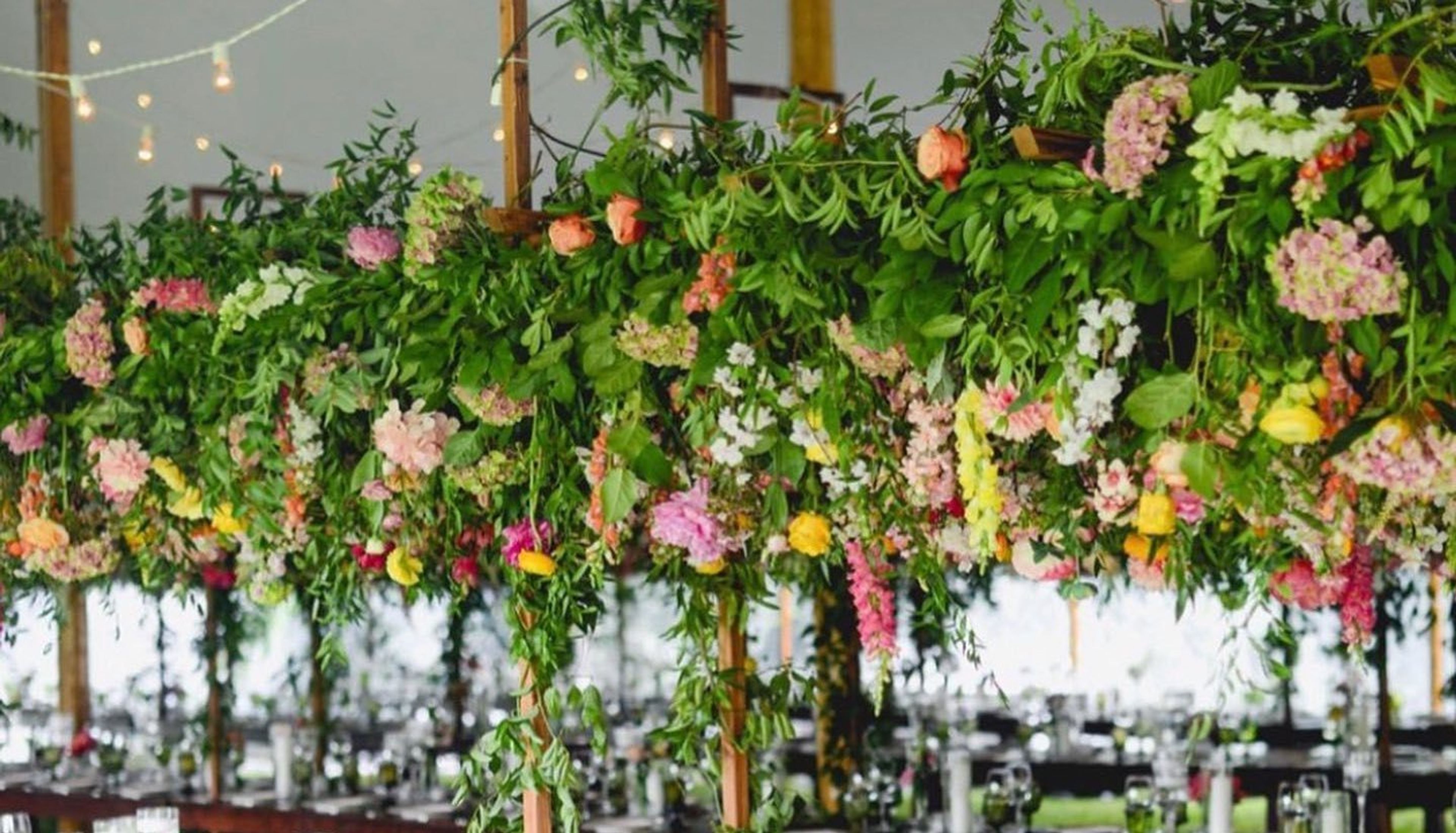 Cover photo of Sayles Livingston