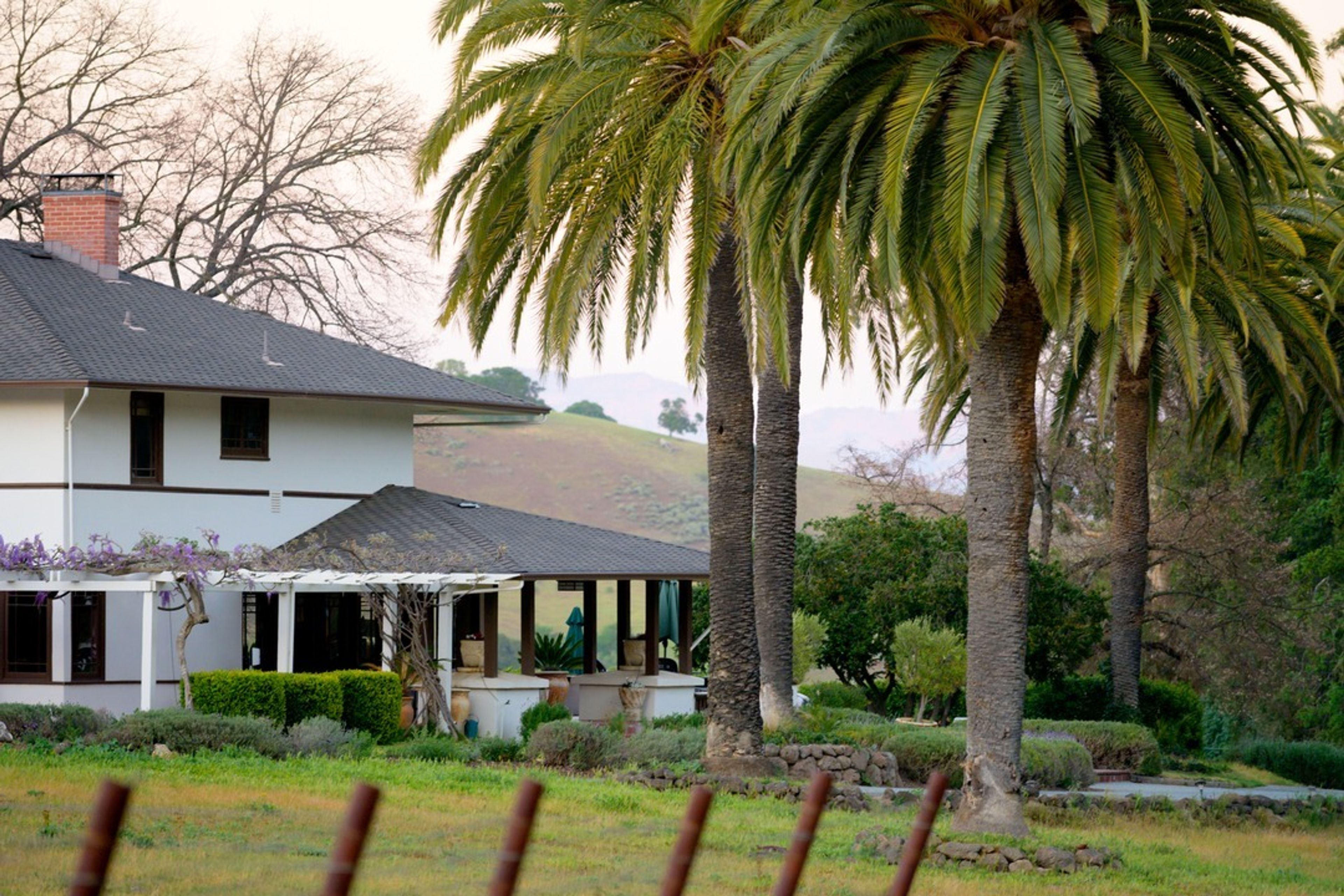 Cover photo of Eden Rift