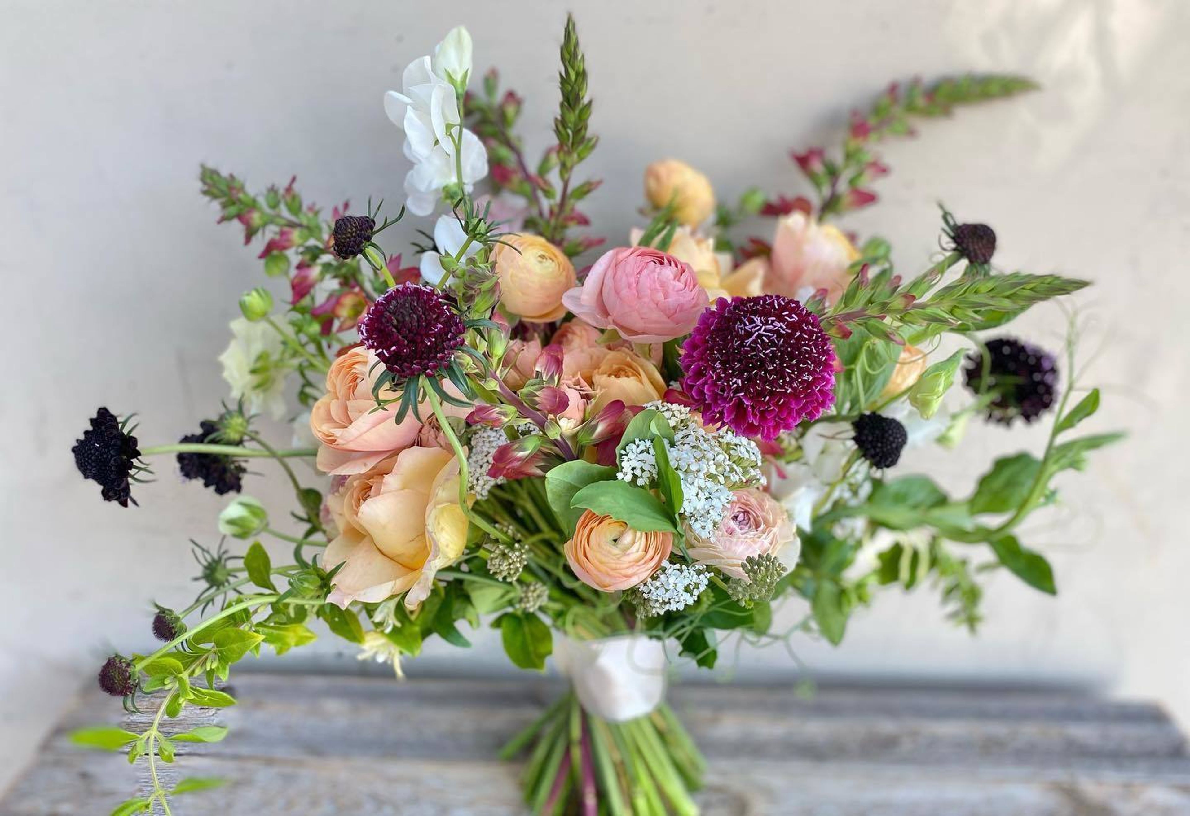 Cover photo of Fluers Du Soileil