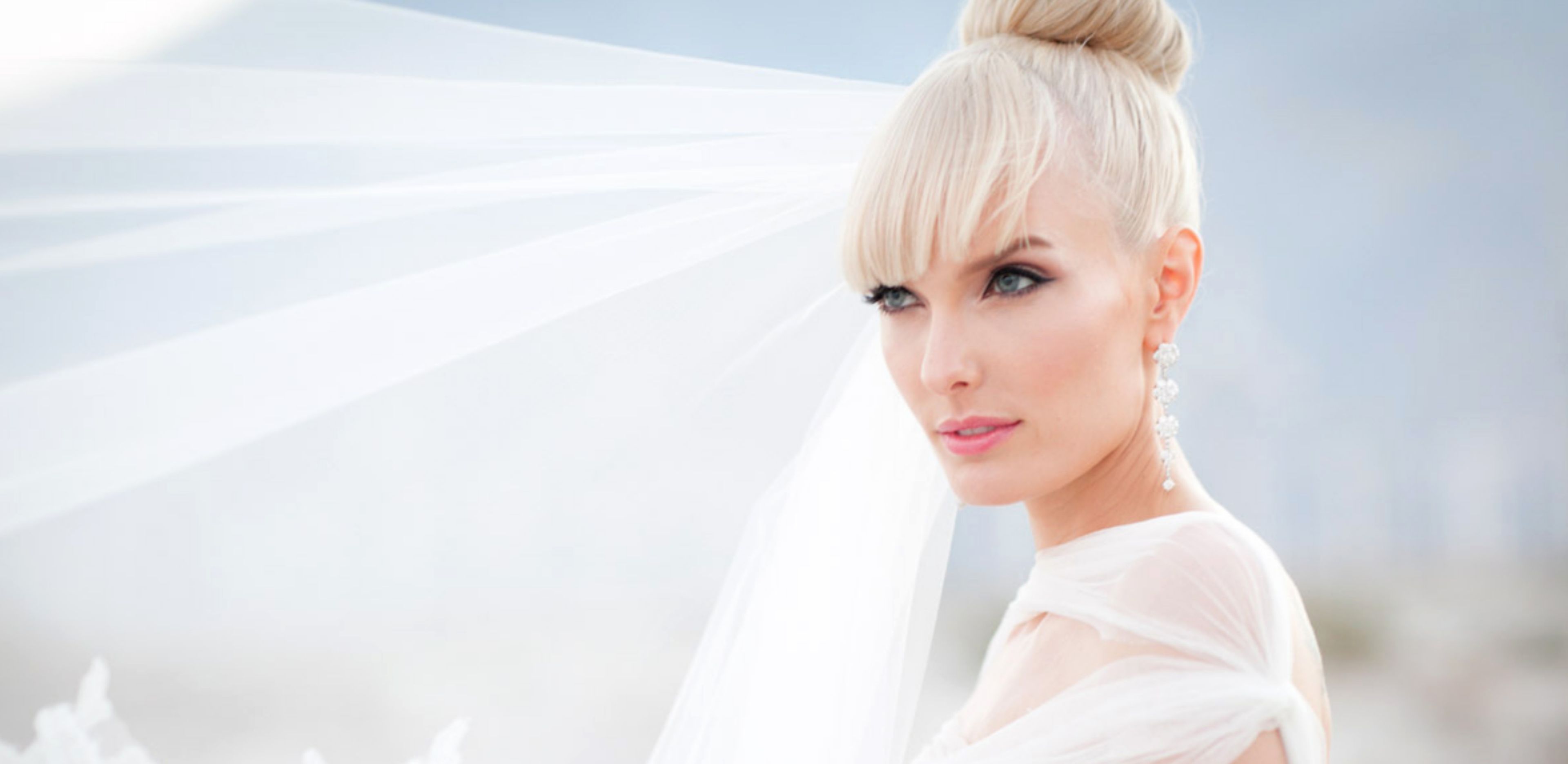 Cover photo of Michael Segal Wedding Photography