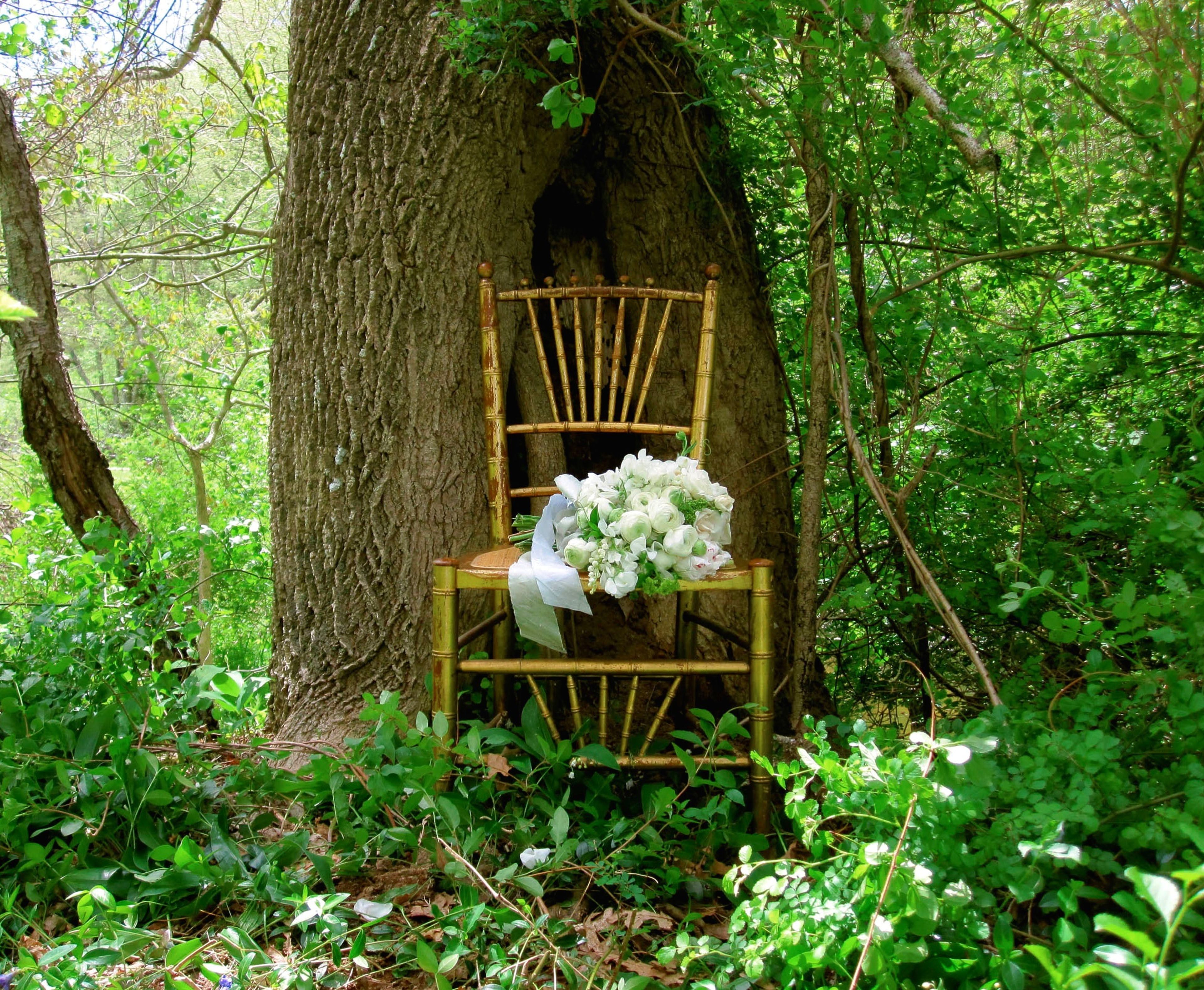 Cover photo of Lilacs