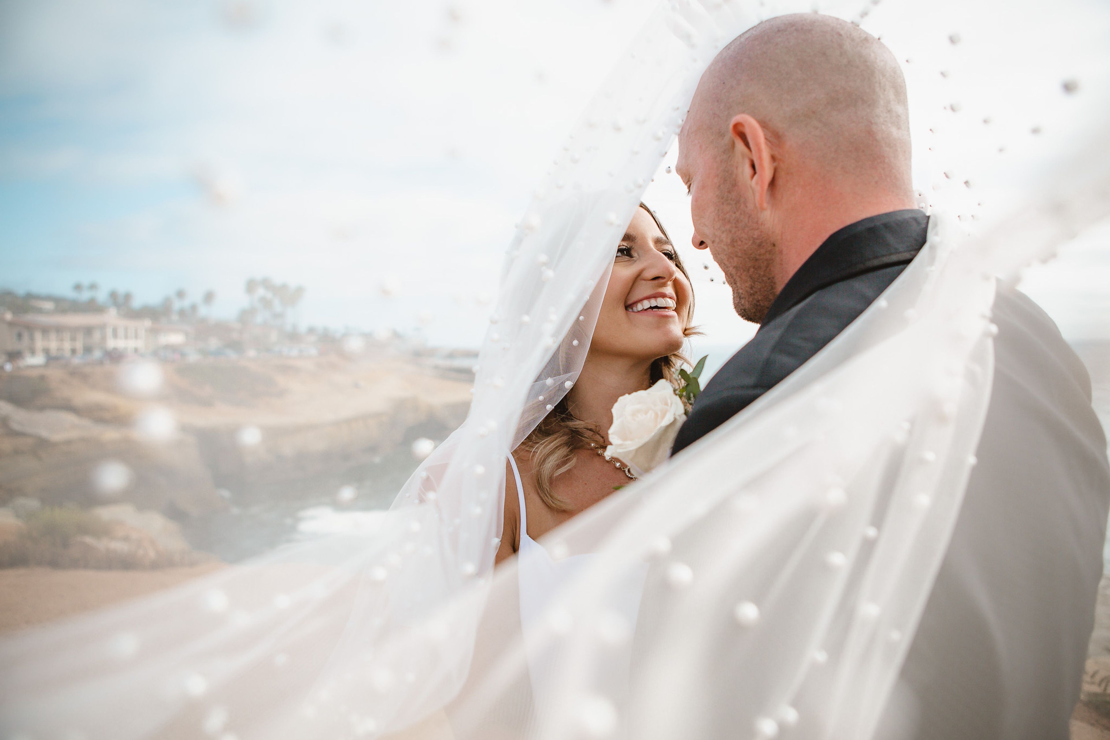 Cover photo of Addi Miller Photography