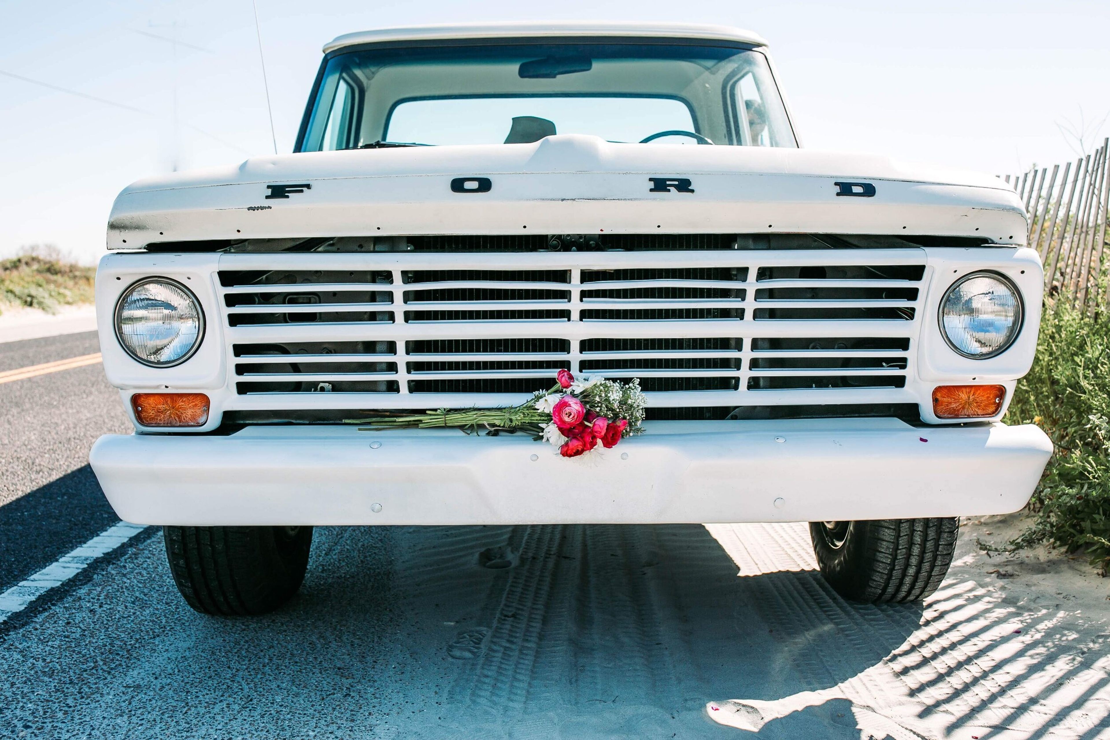 Cover photo of Salt + Stem Flower Co.