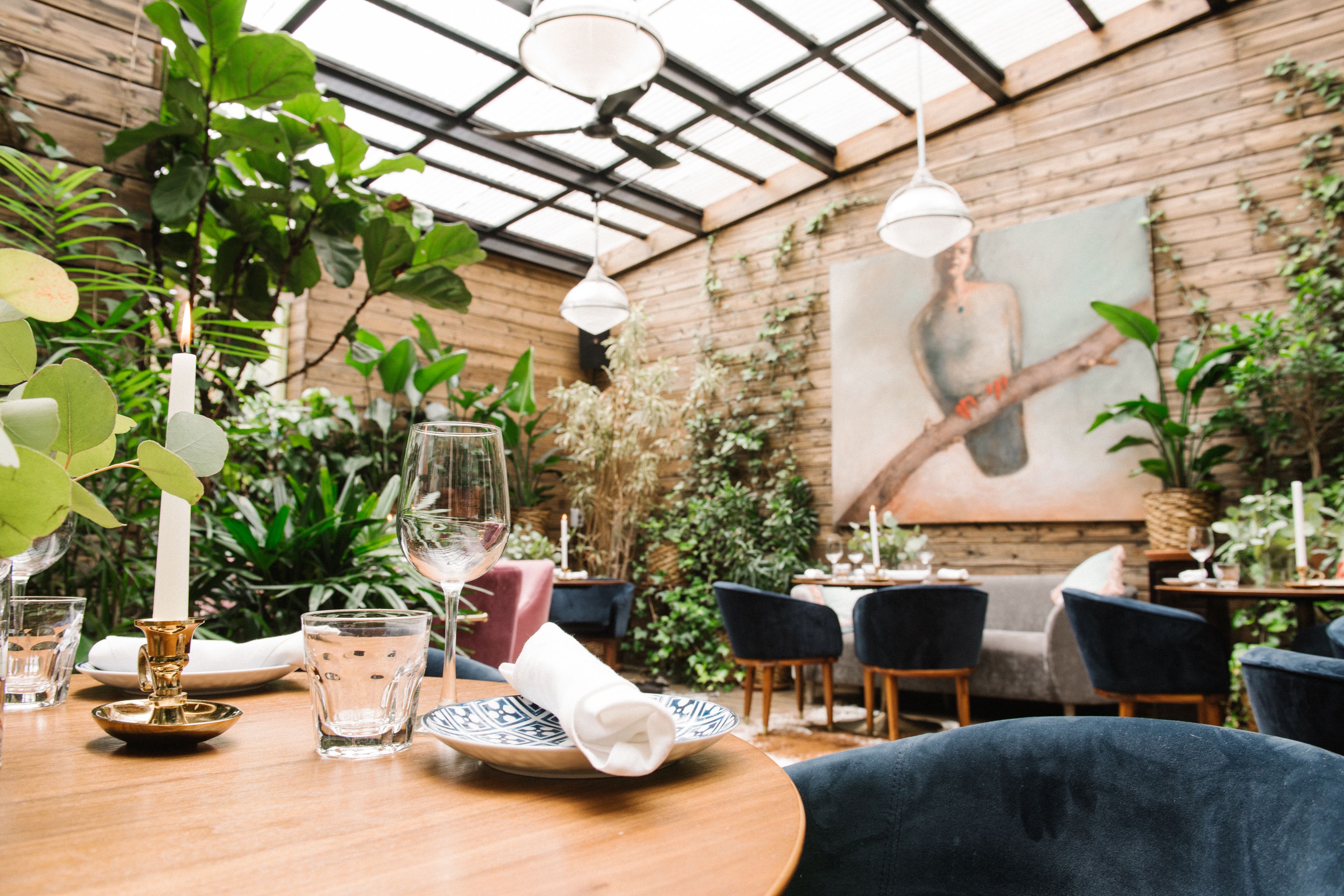 Cover photo of Botanico