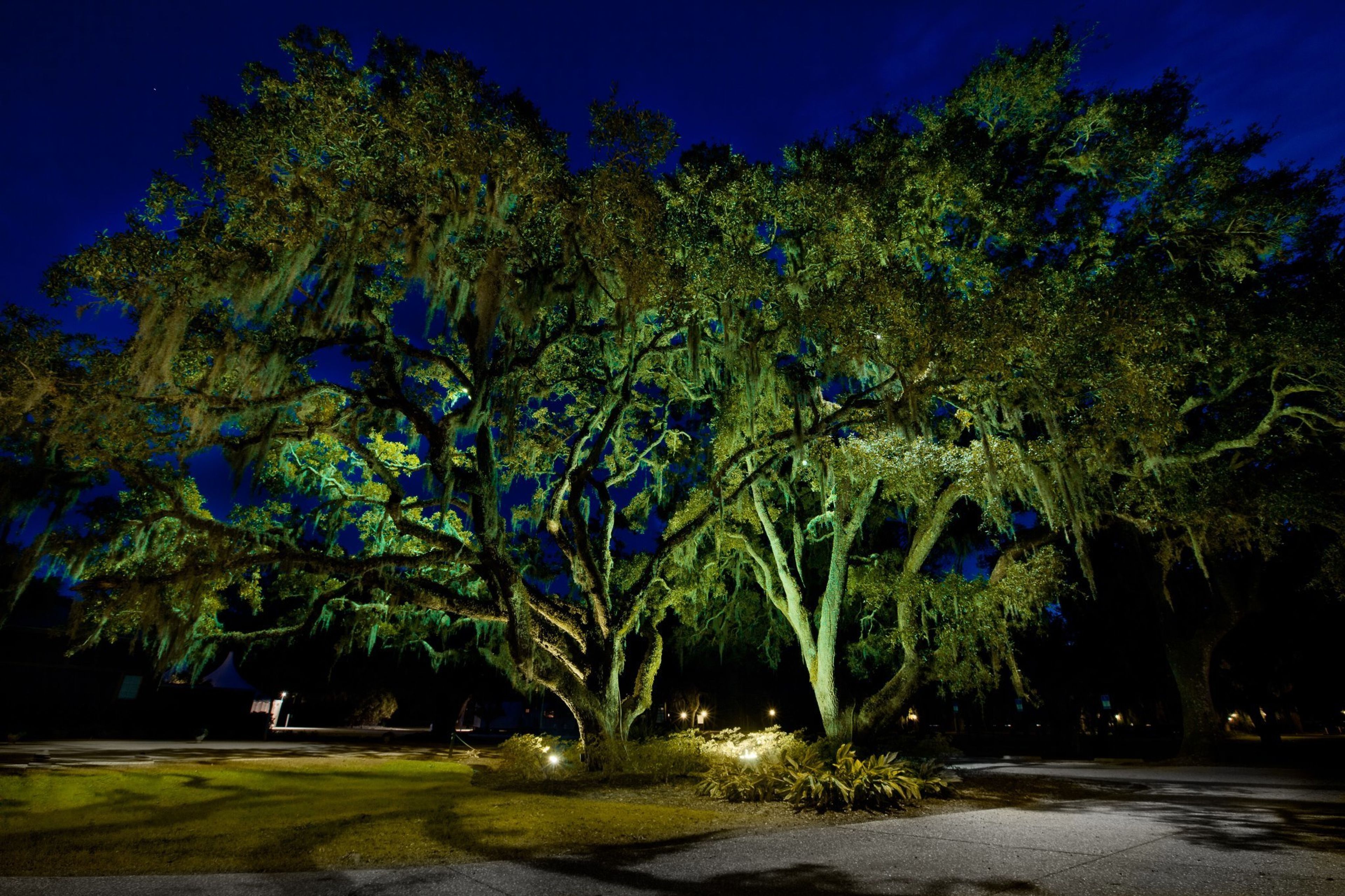 Cover photo of Full Moon Lighting
