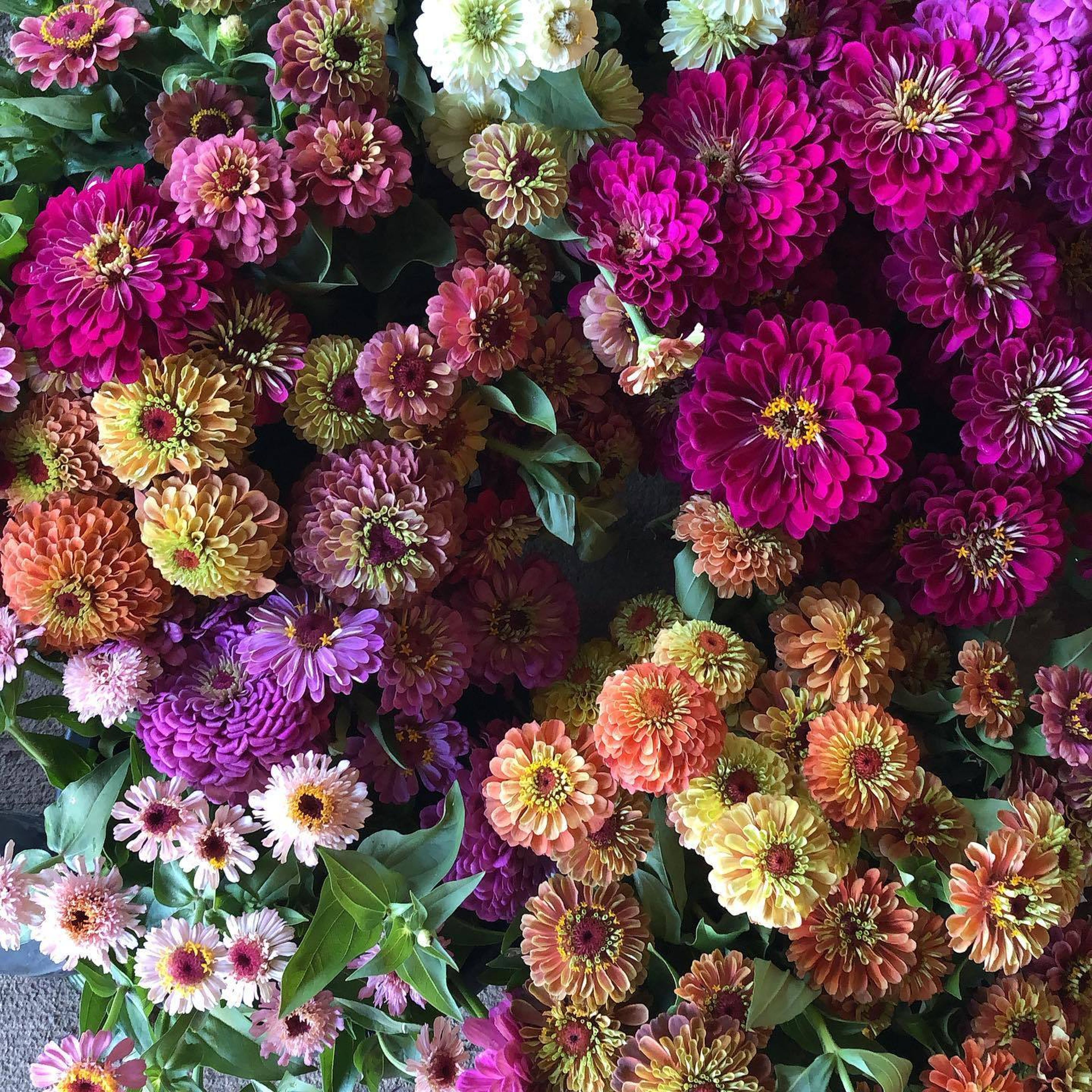 Cover photo of Broadturn Farms