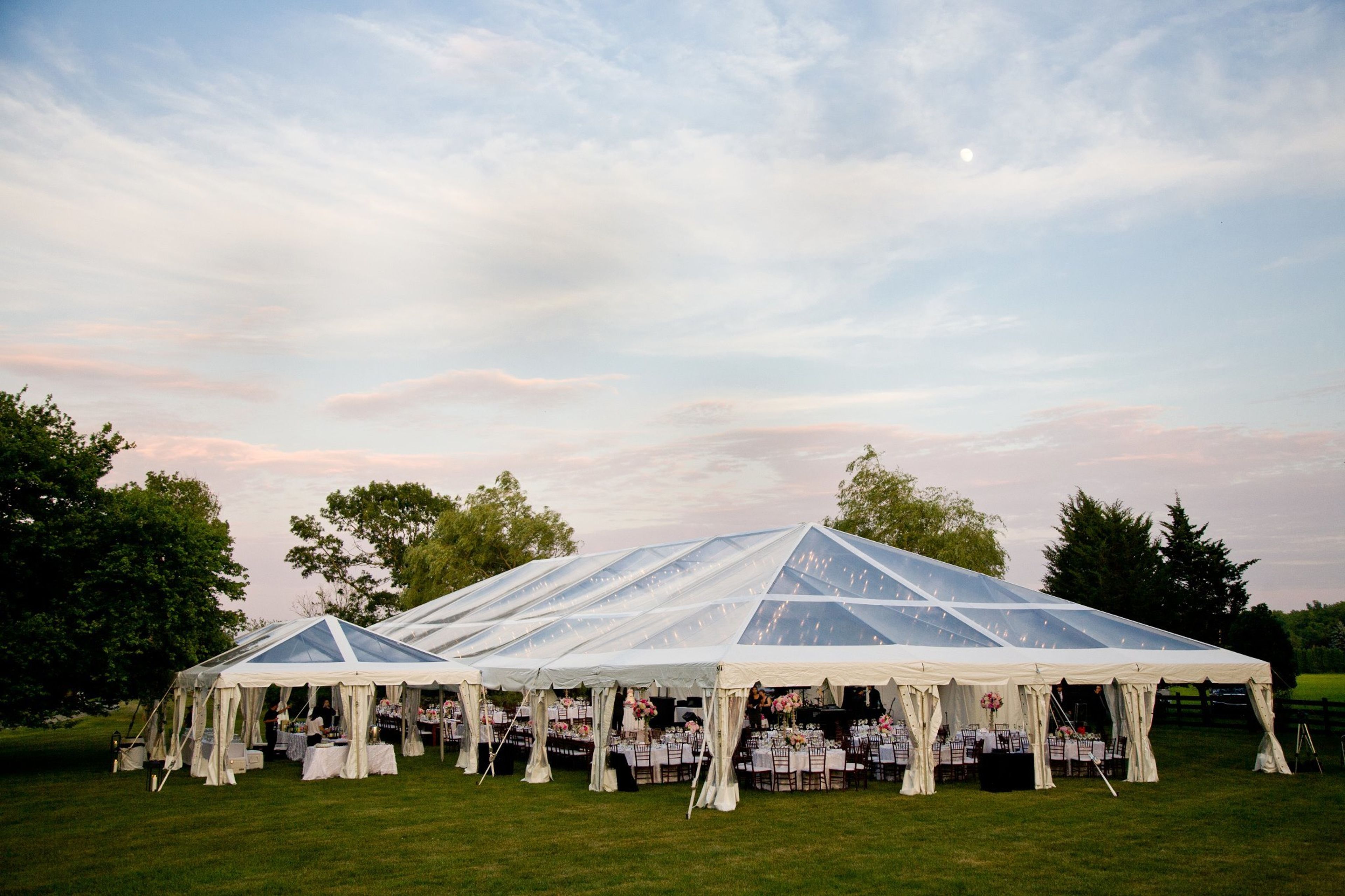 Cover photo of Chase Canopy