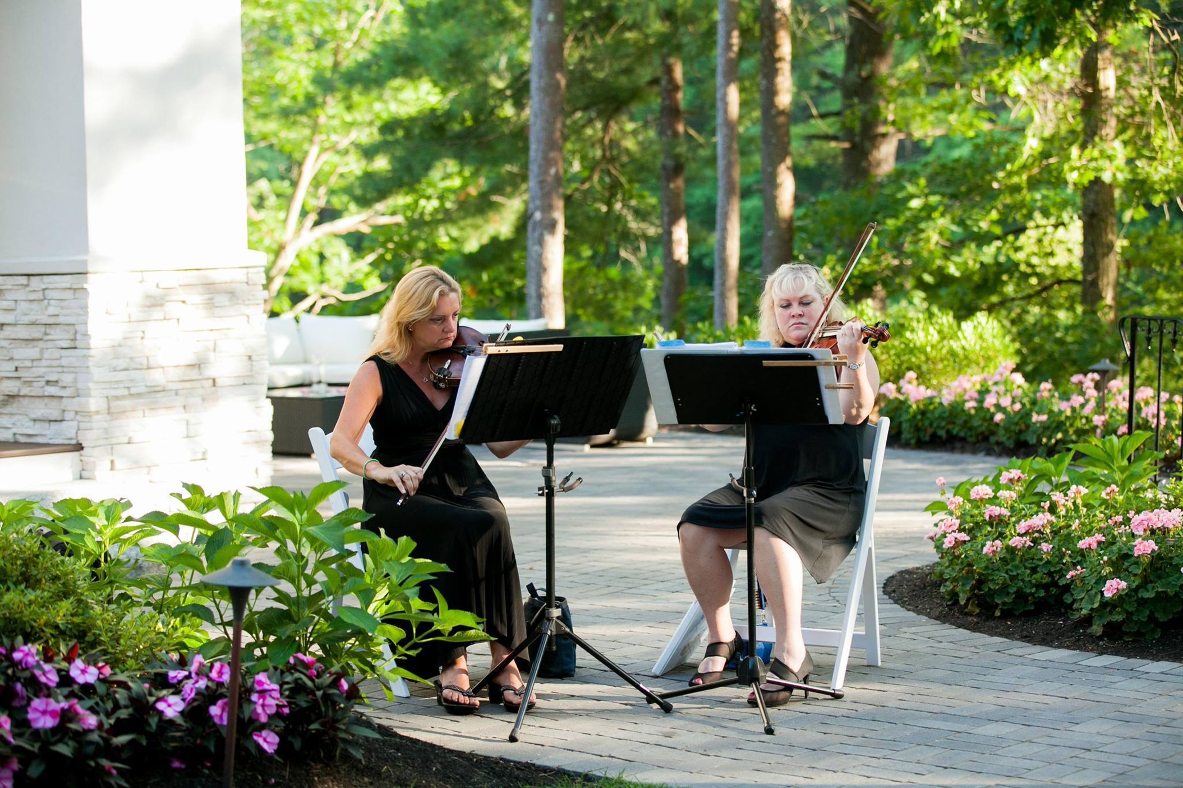 Cover photo of Classy Strings