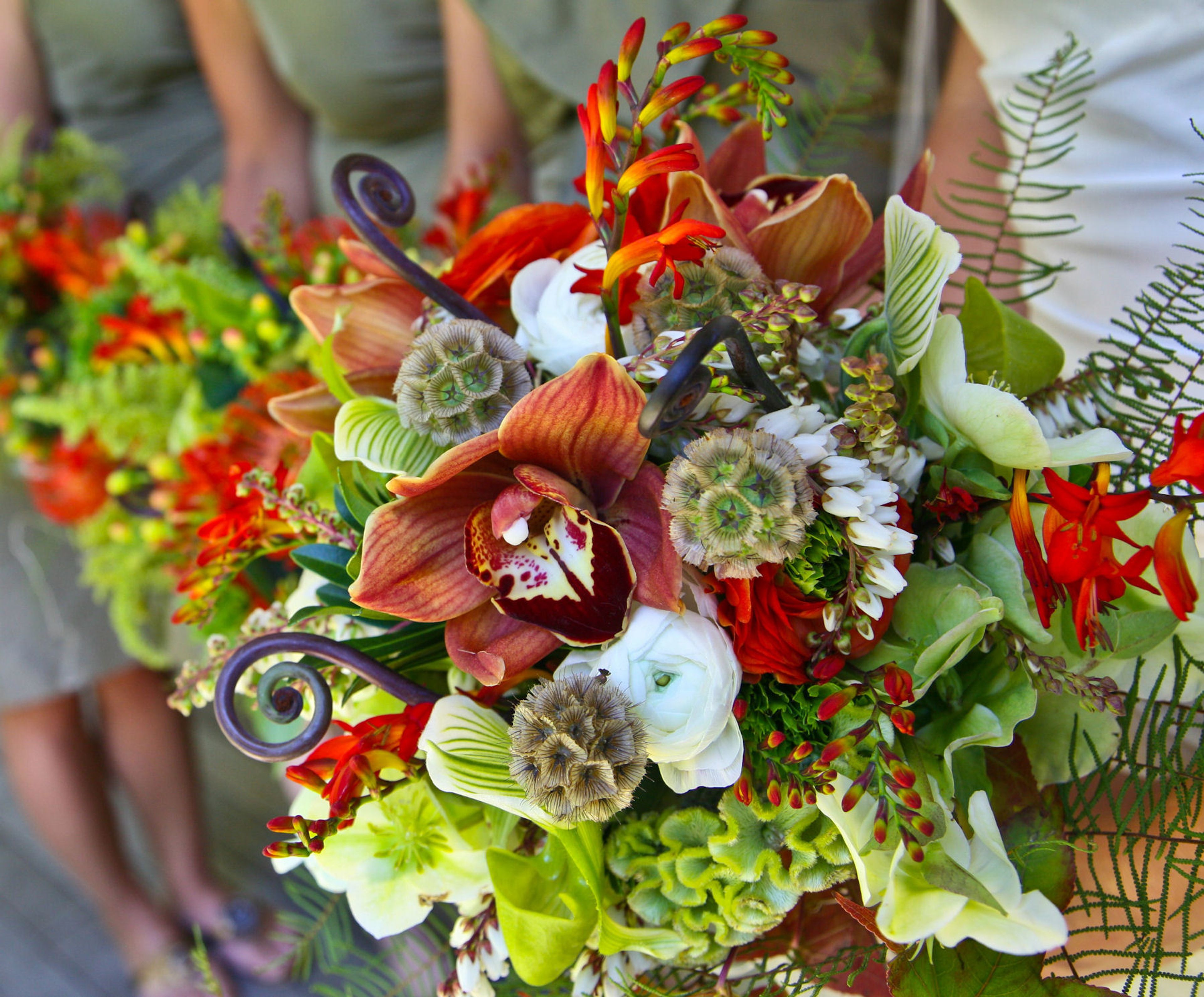 Cover photo of Fancy Flowers By Meredith