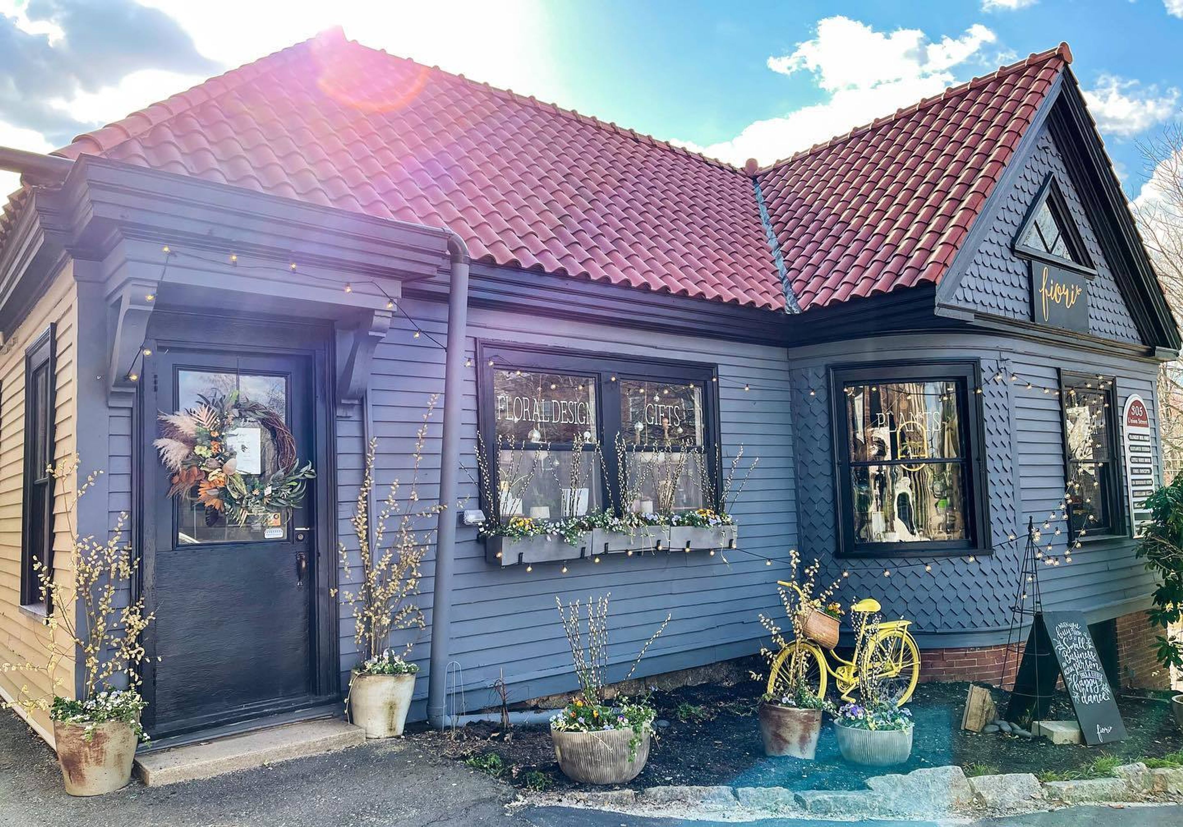 Cover photo of Fiori and Fern