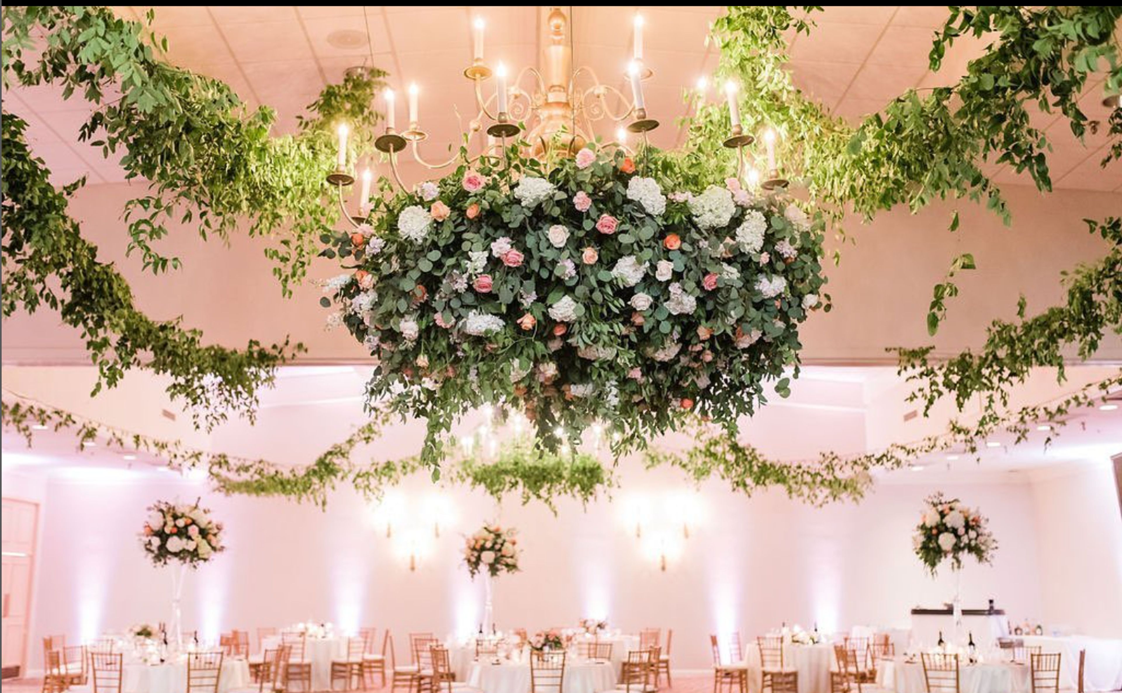 Cover photo of Mayfield Events