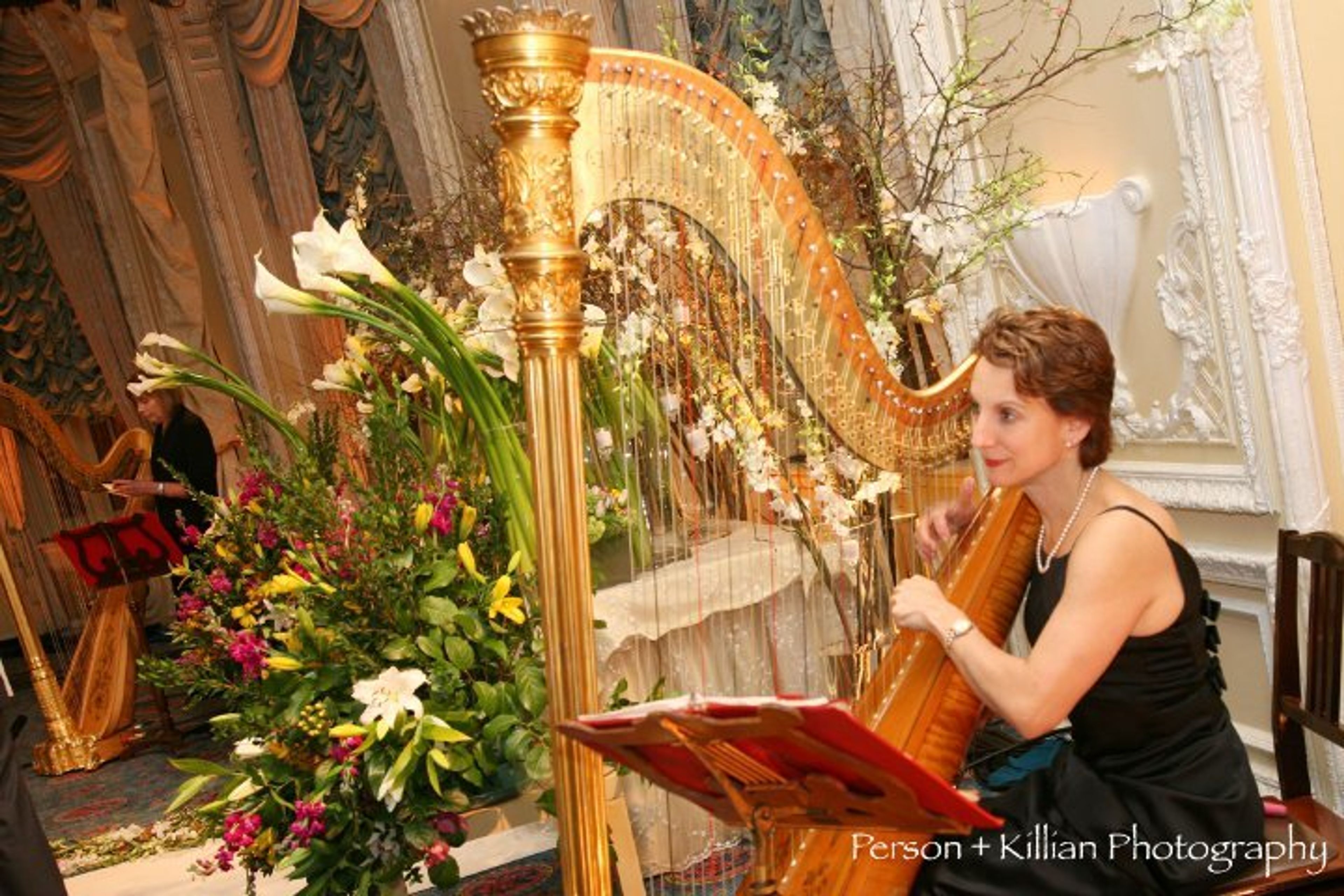 Cover photo of Gilded Harp