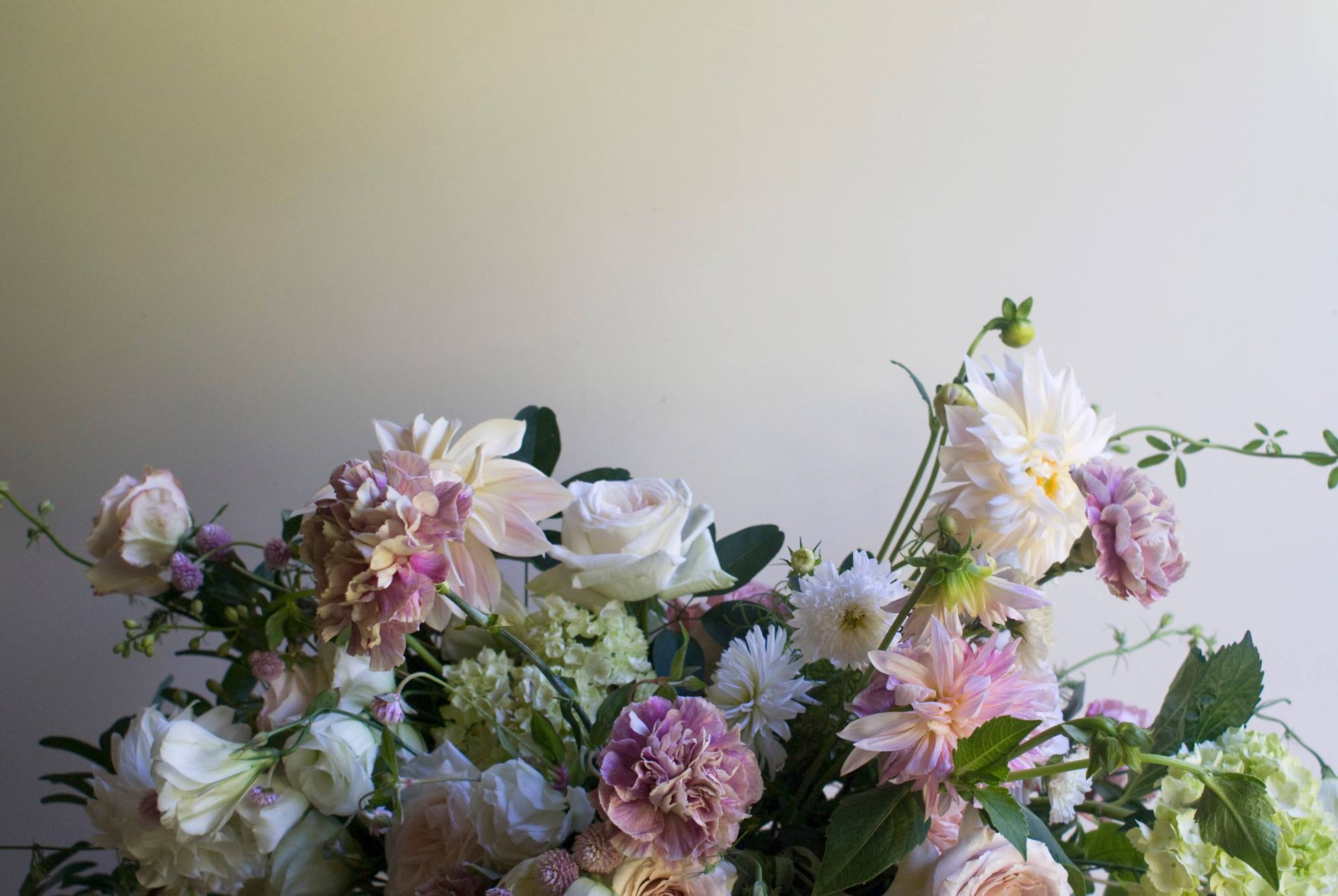 Cover photo of Greenlion Design