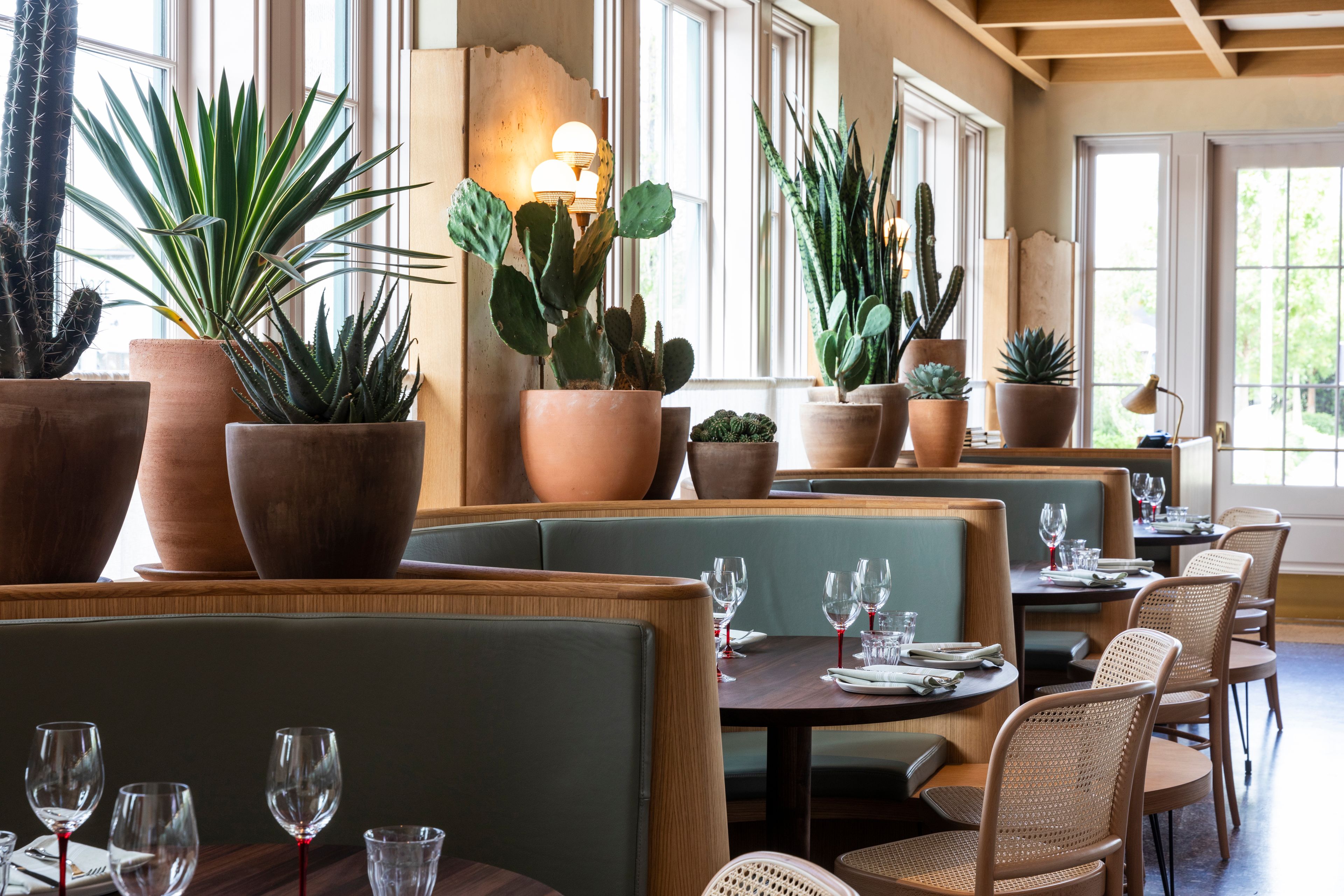 Cover photo of Rosie Cannonball