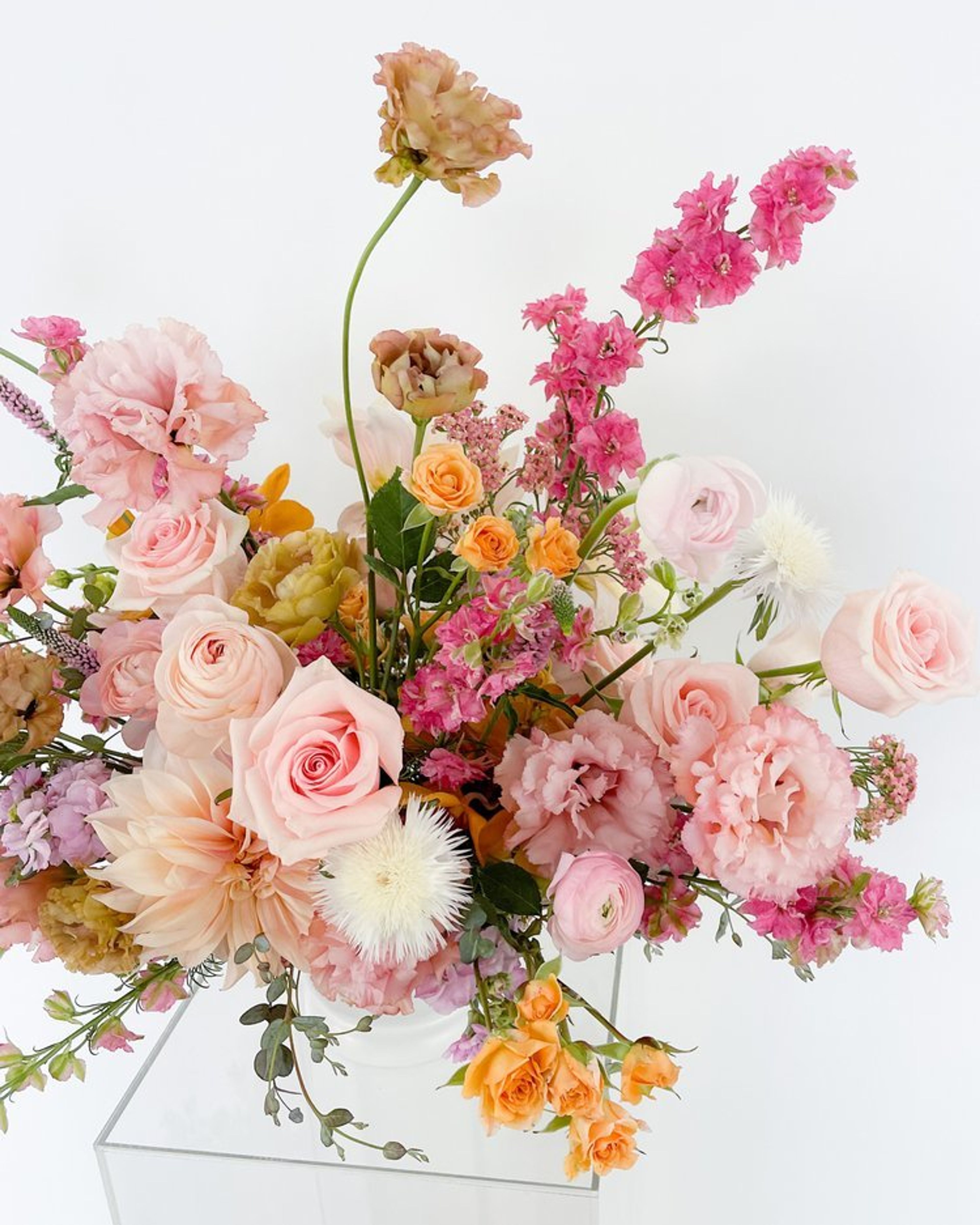 Cover photo of Blaire Kimball