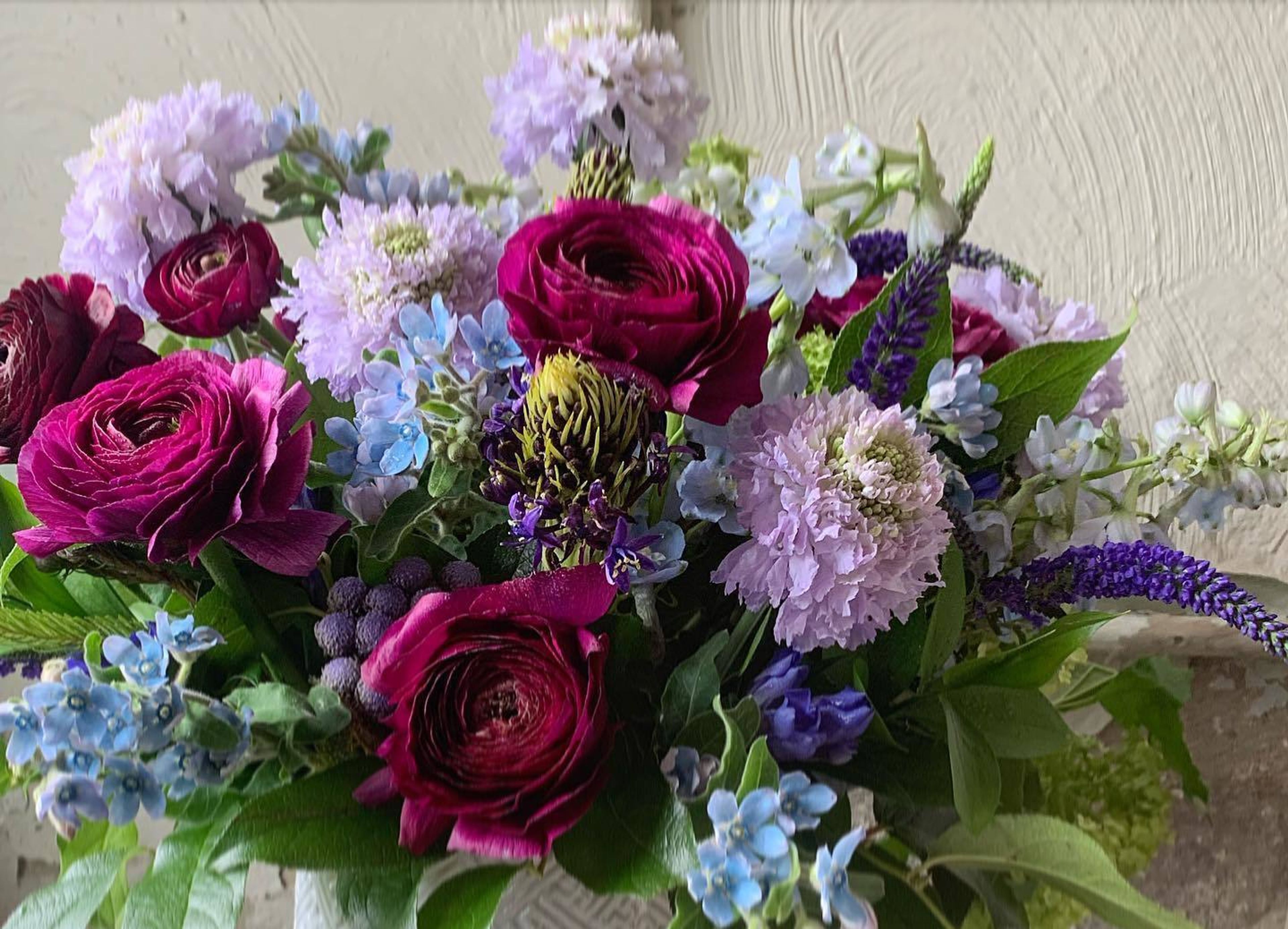 Cover photo of In The Garden