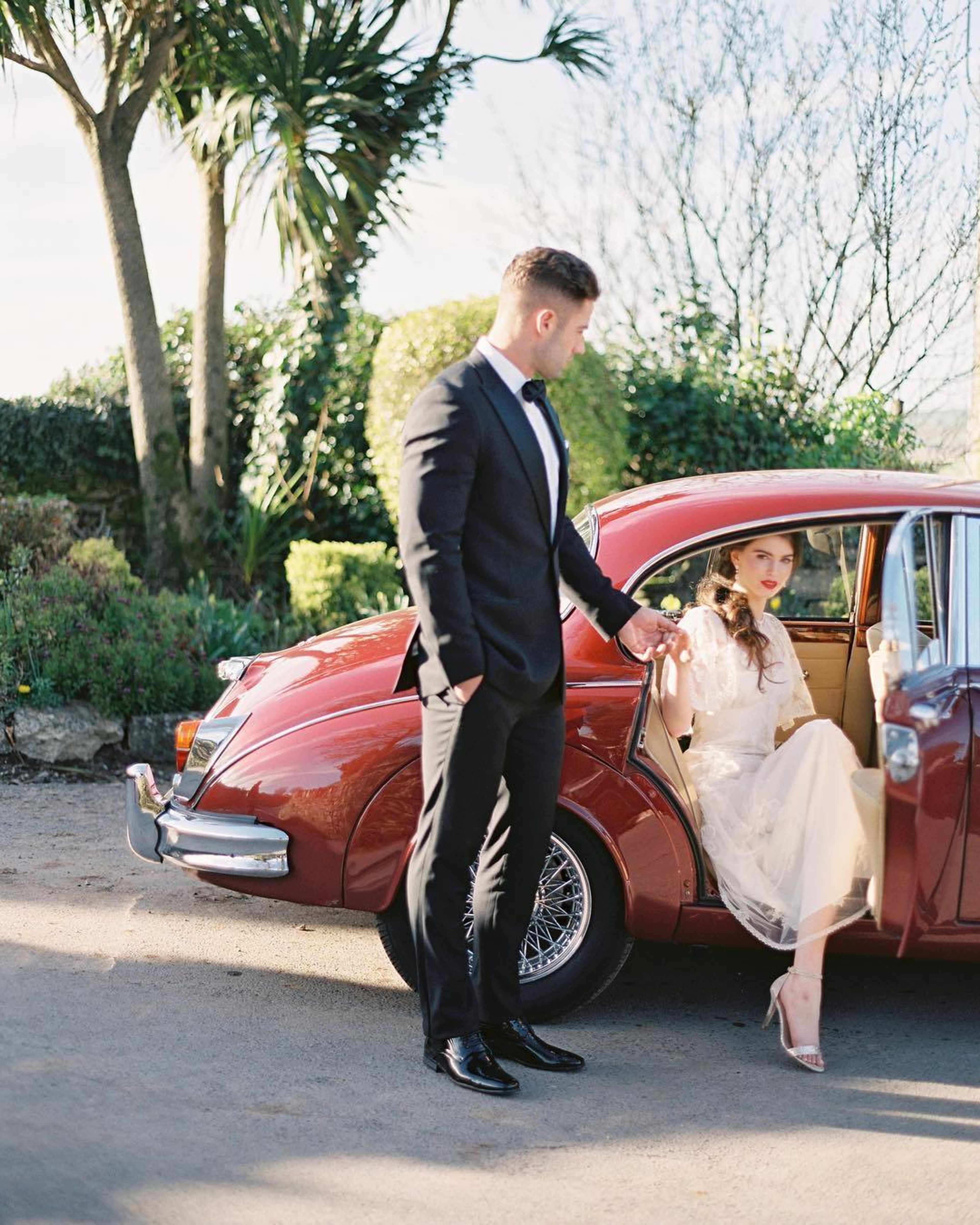 Cover photo of Amelia Johnson Photography