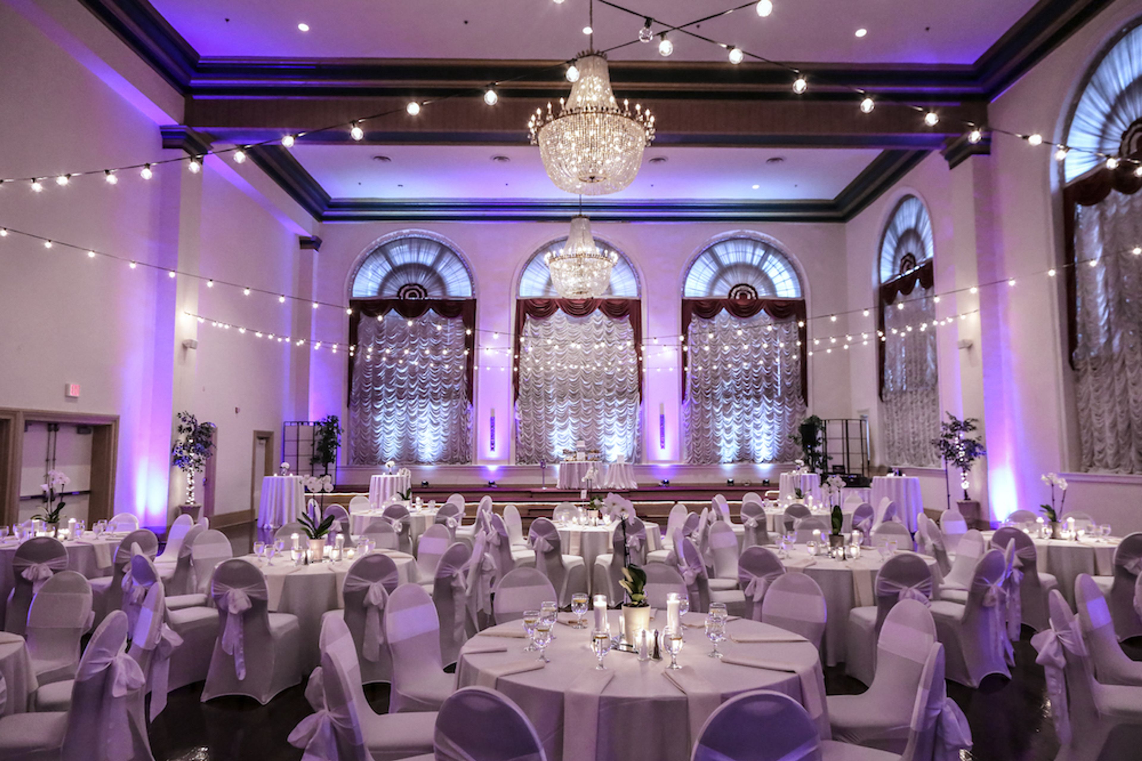 Cover photo of The Renaissance