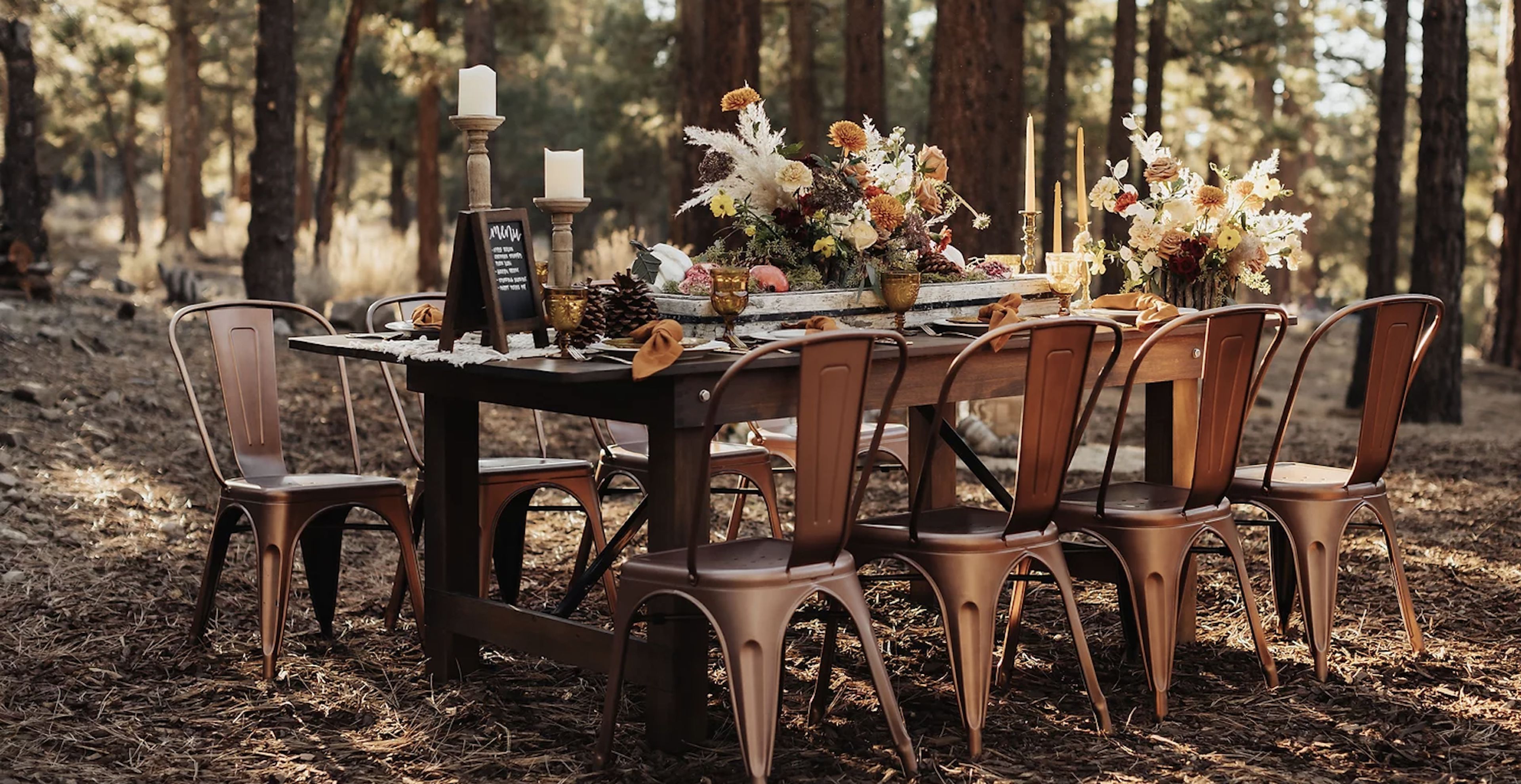 Cover photo of Into The Woods LLC