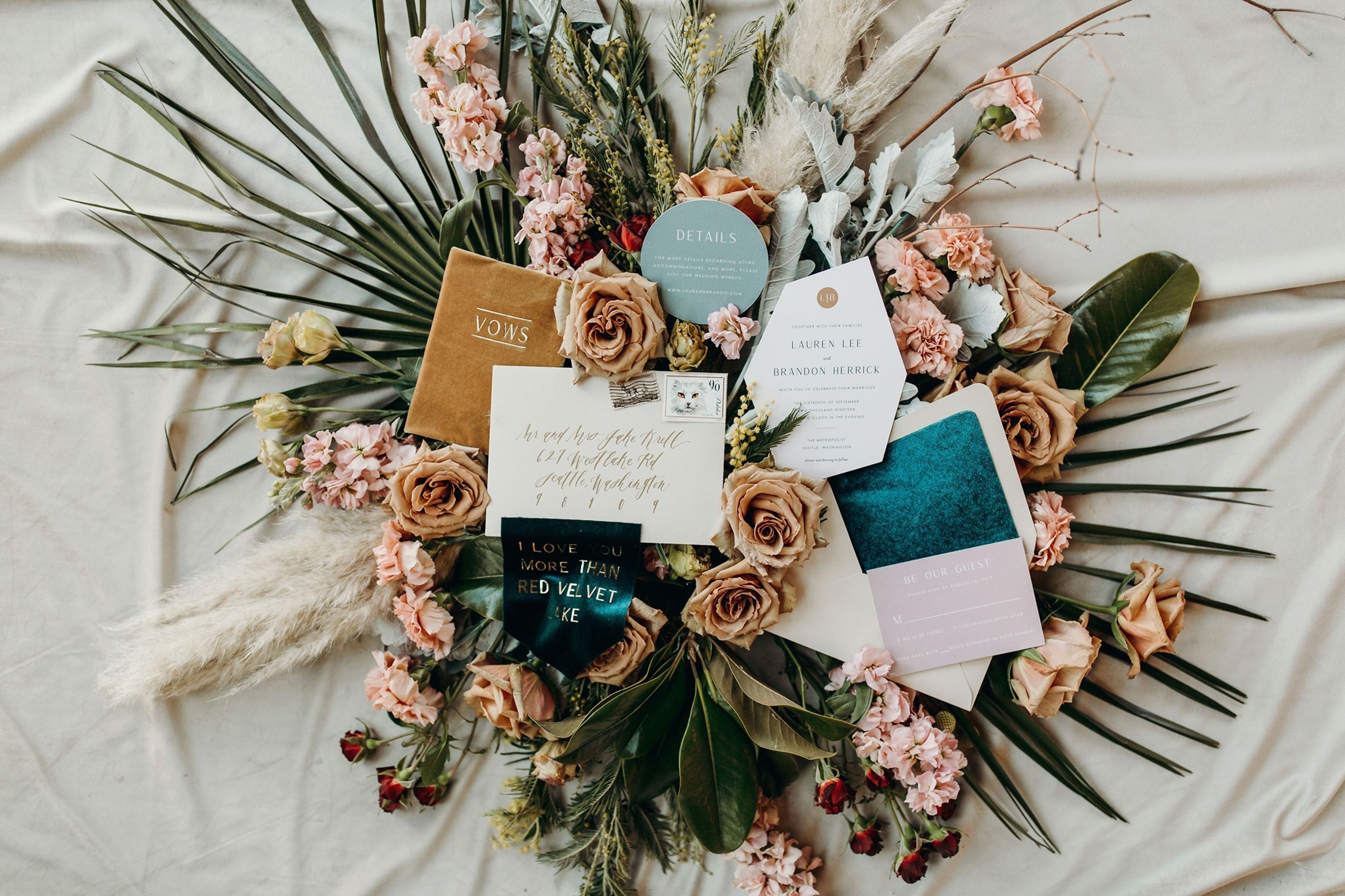 Cover photo of The Fancy Cat Studio