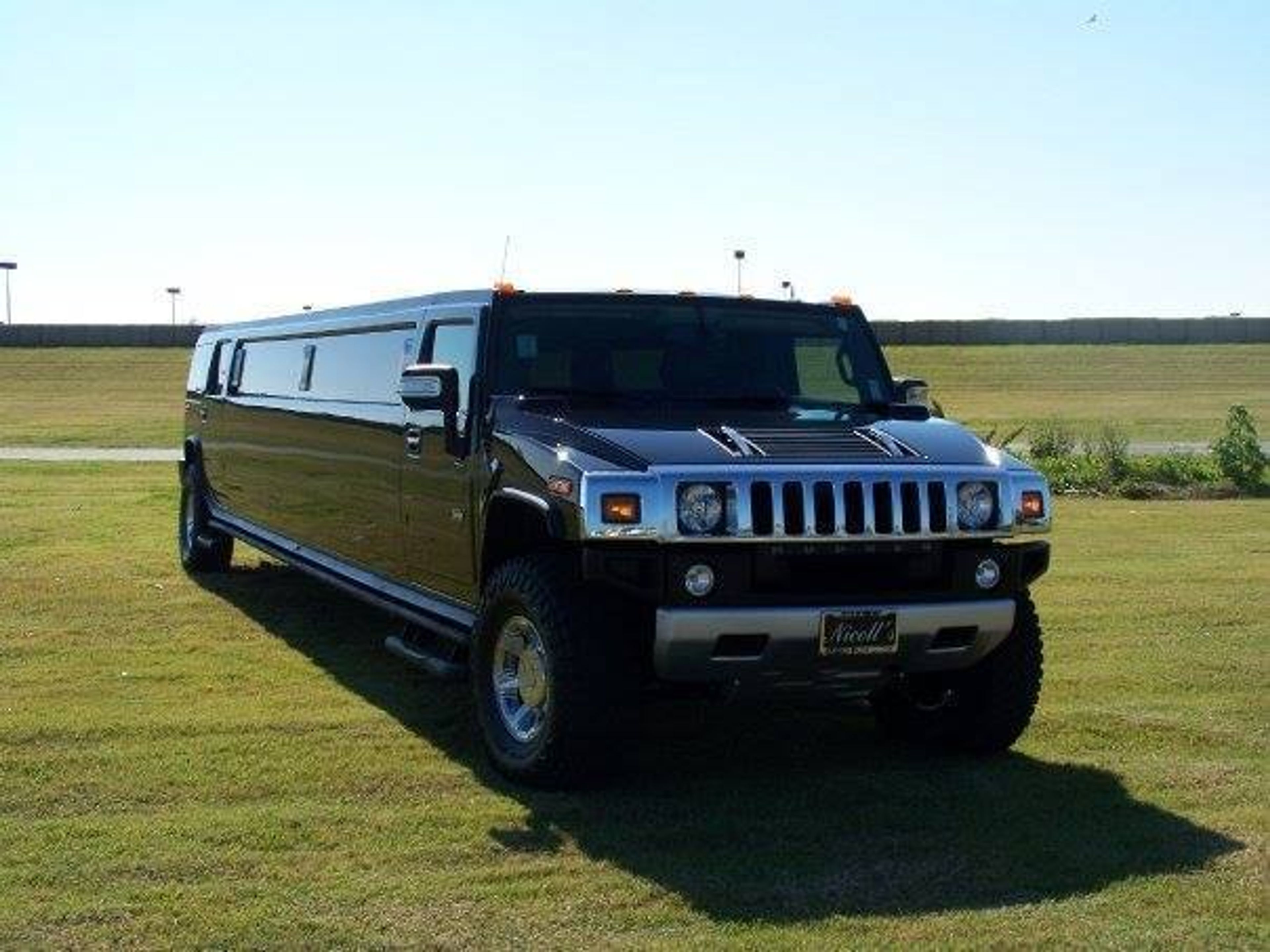 Cover photo of Nicolls