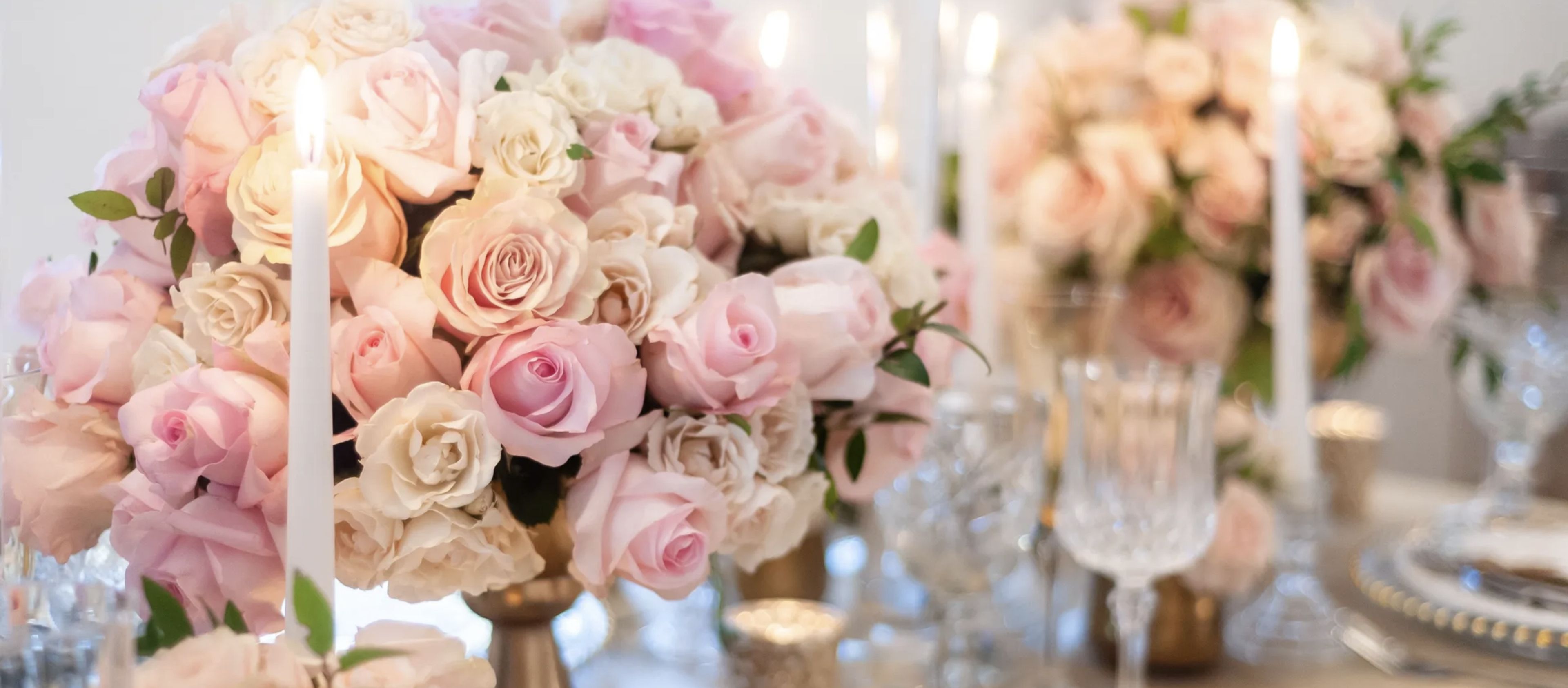 Cover photo of The Black Fox Company