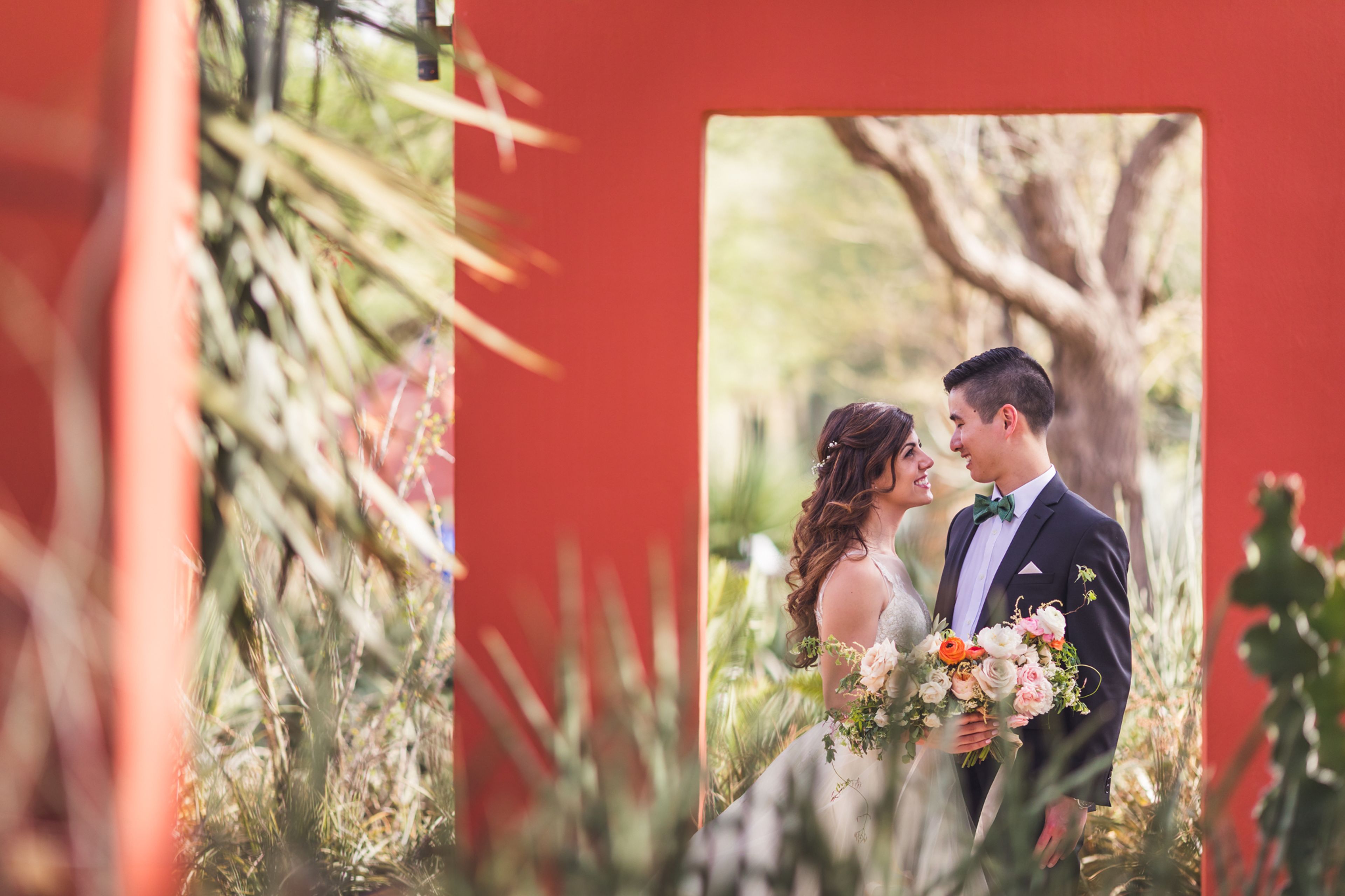 Cover photo of Desert Botanical Garden
