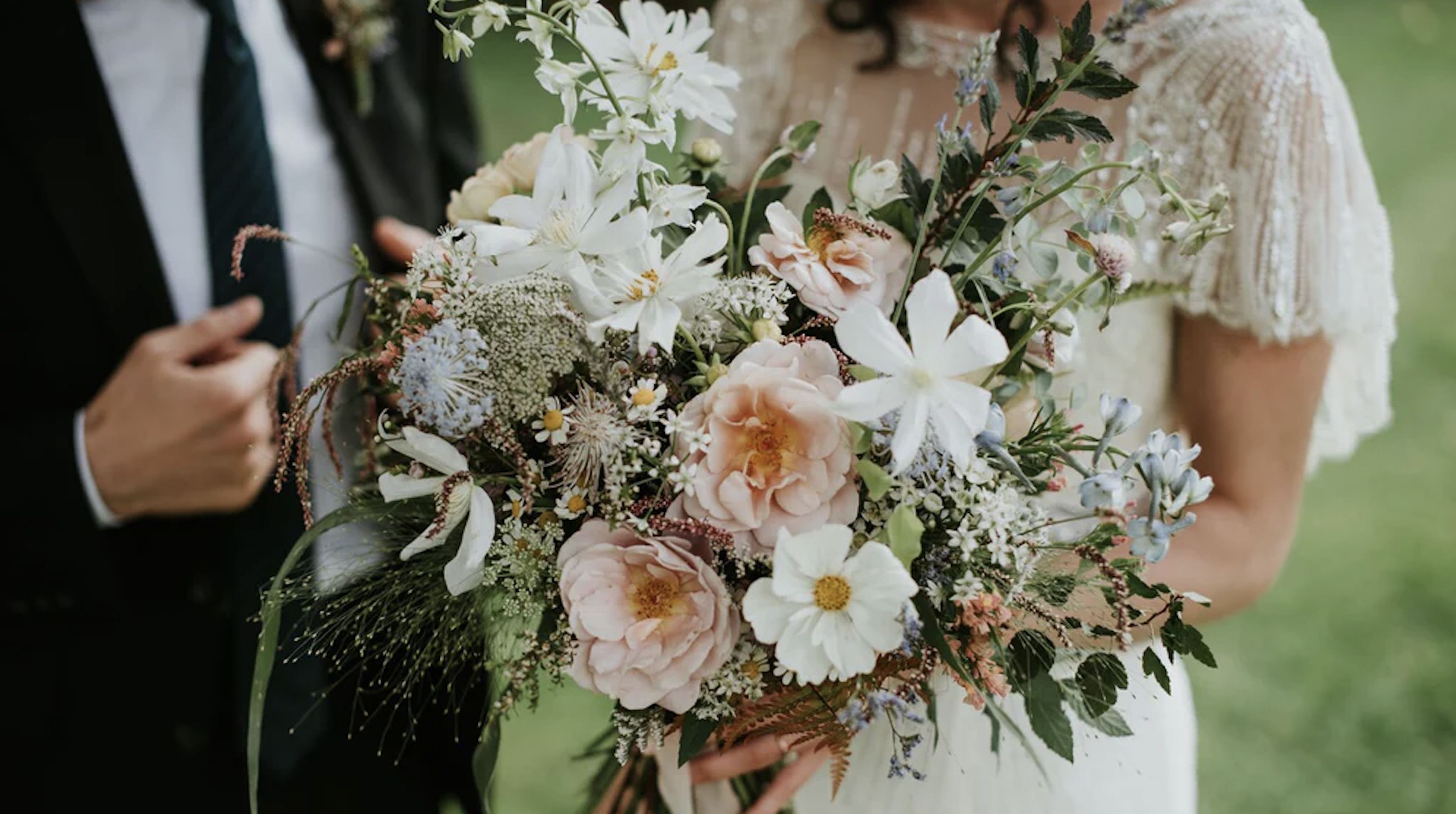 Cover photo of Hops Petunia Floral
