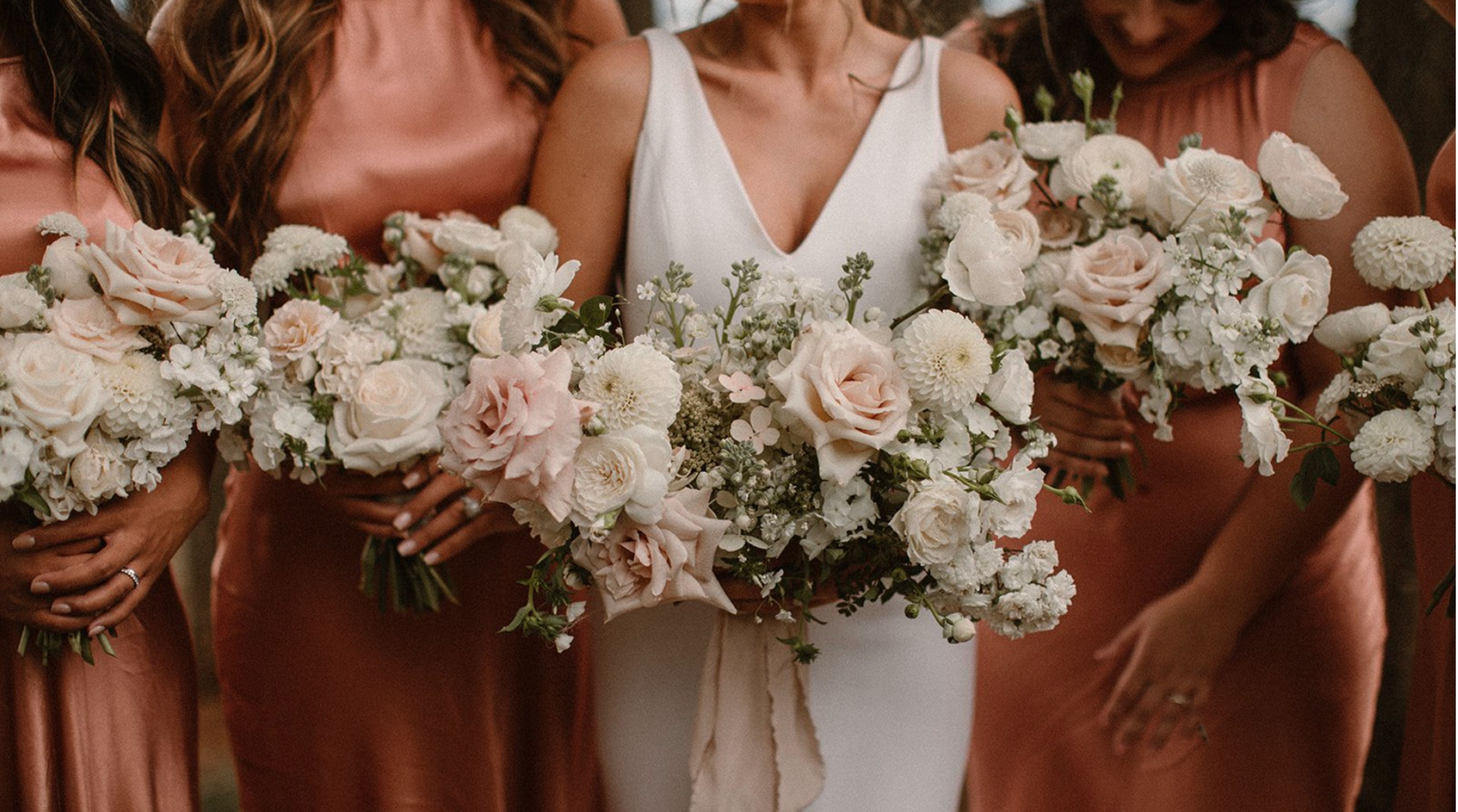 Cover photo of Brier and Ivy