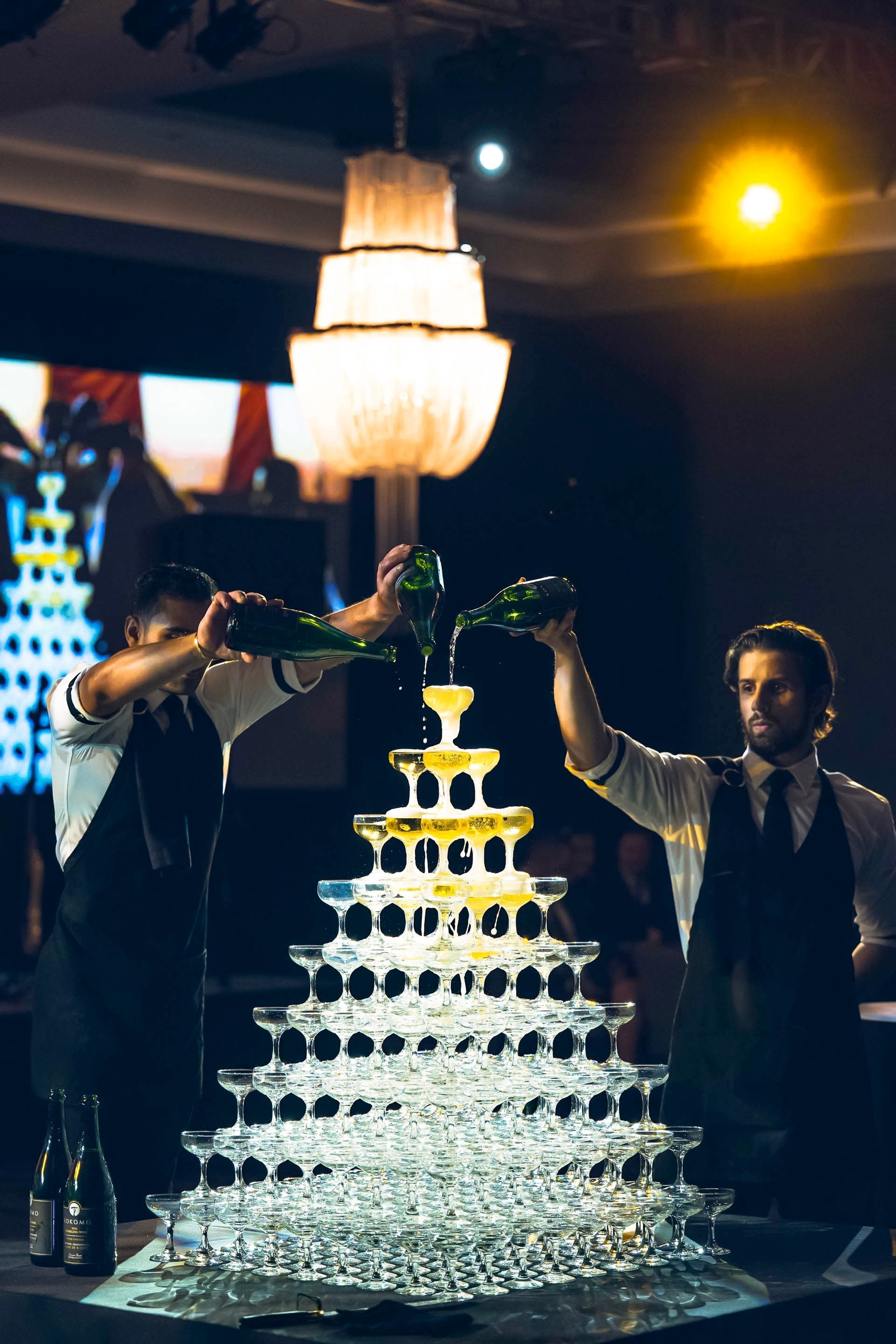 Cover photo of The Cup Bearer