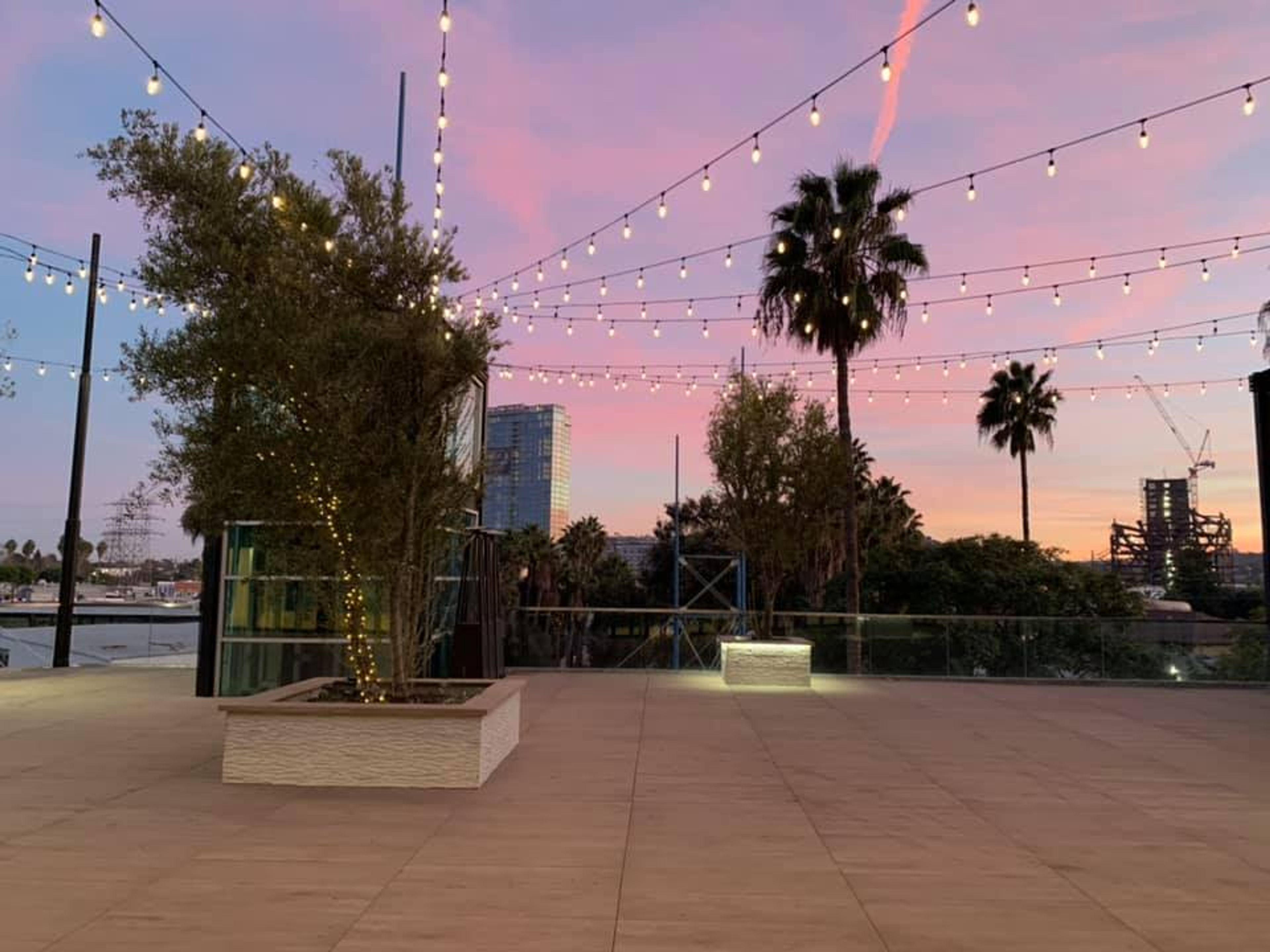 Cover photo of Palm Sophia Rooftop