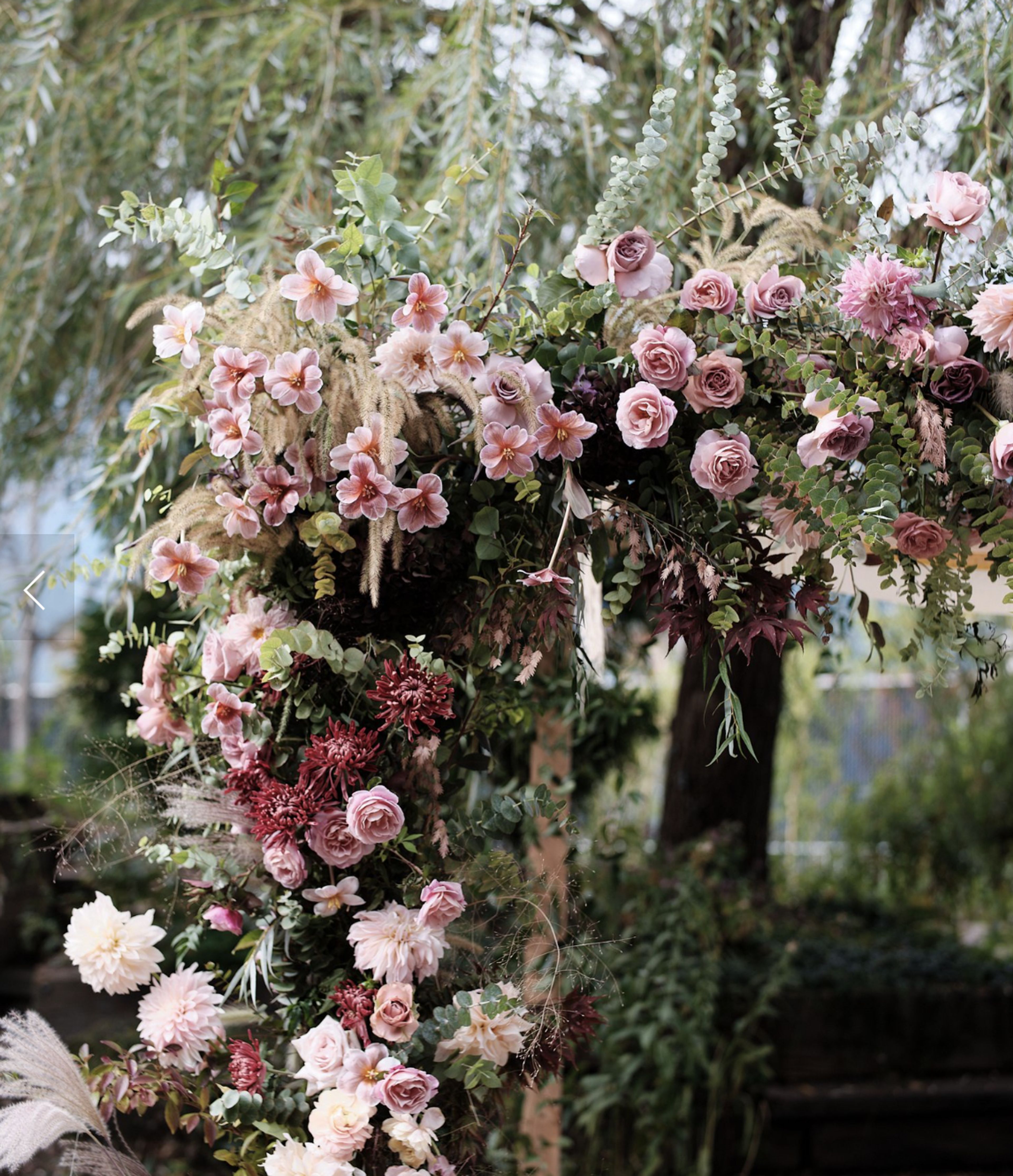 Cover photo of Ephemera