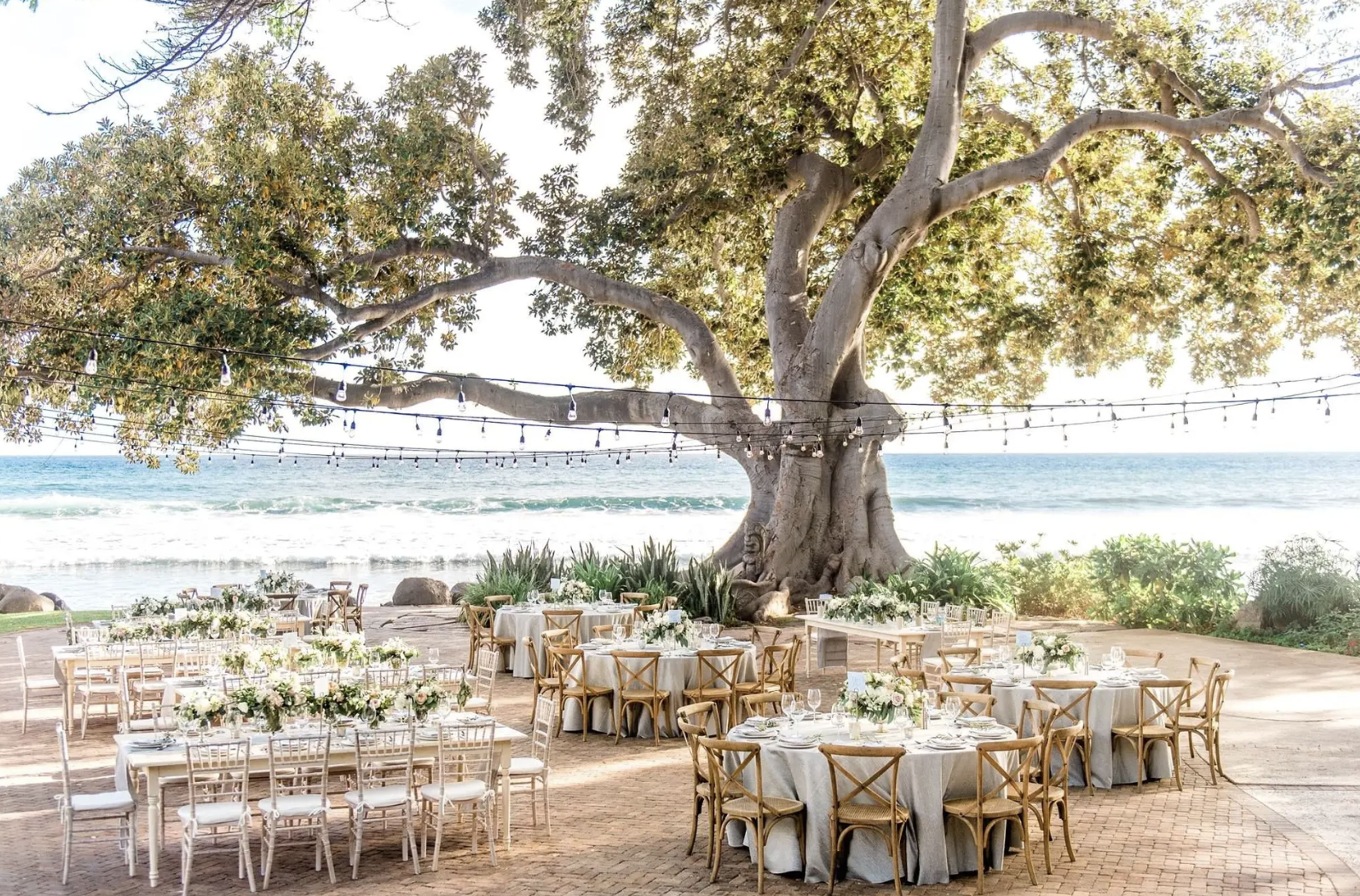 Cover photo of Damselfly Designs