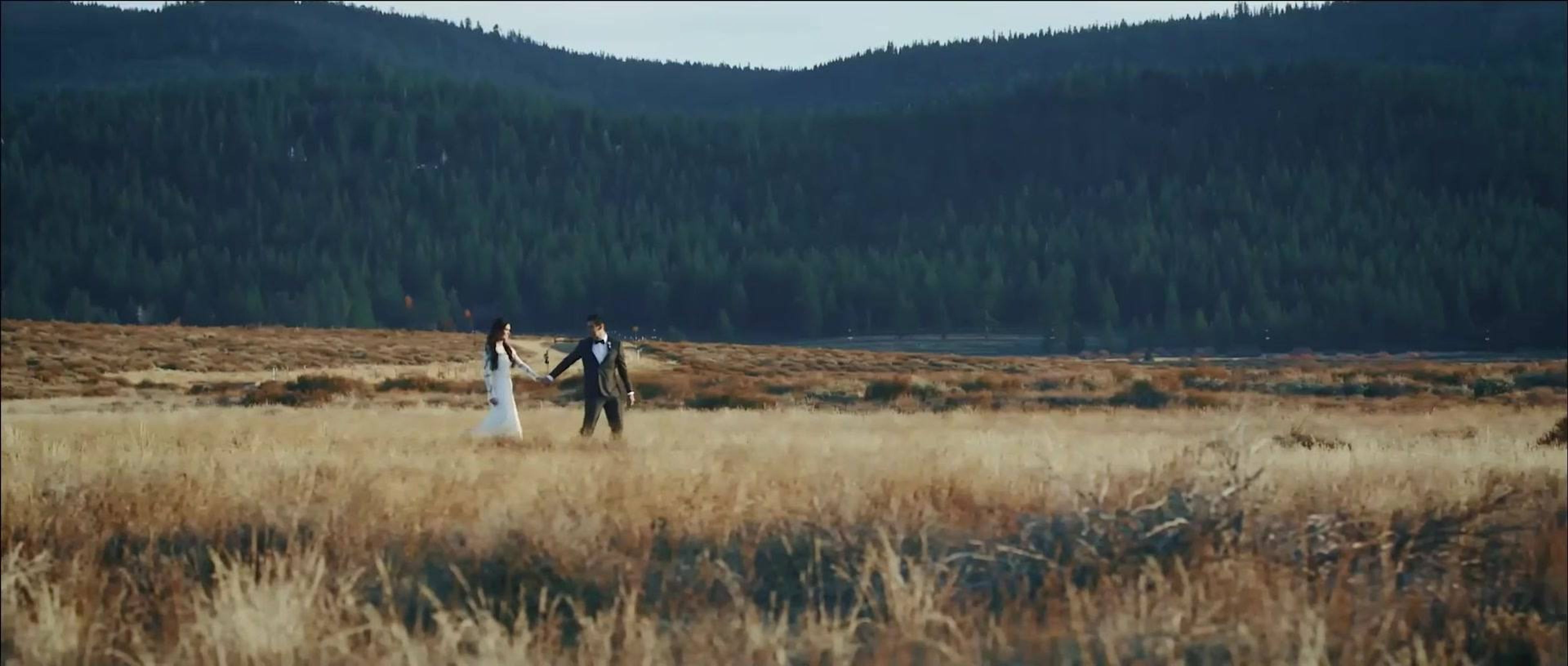 Cover photo of By Design Films