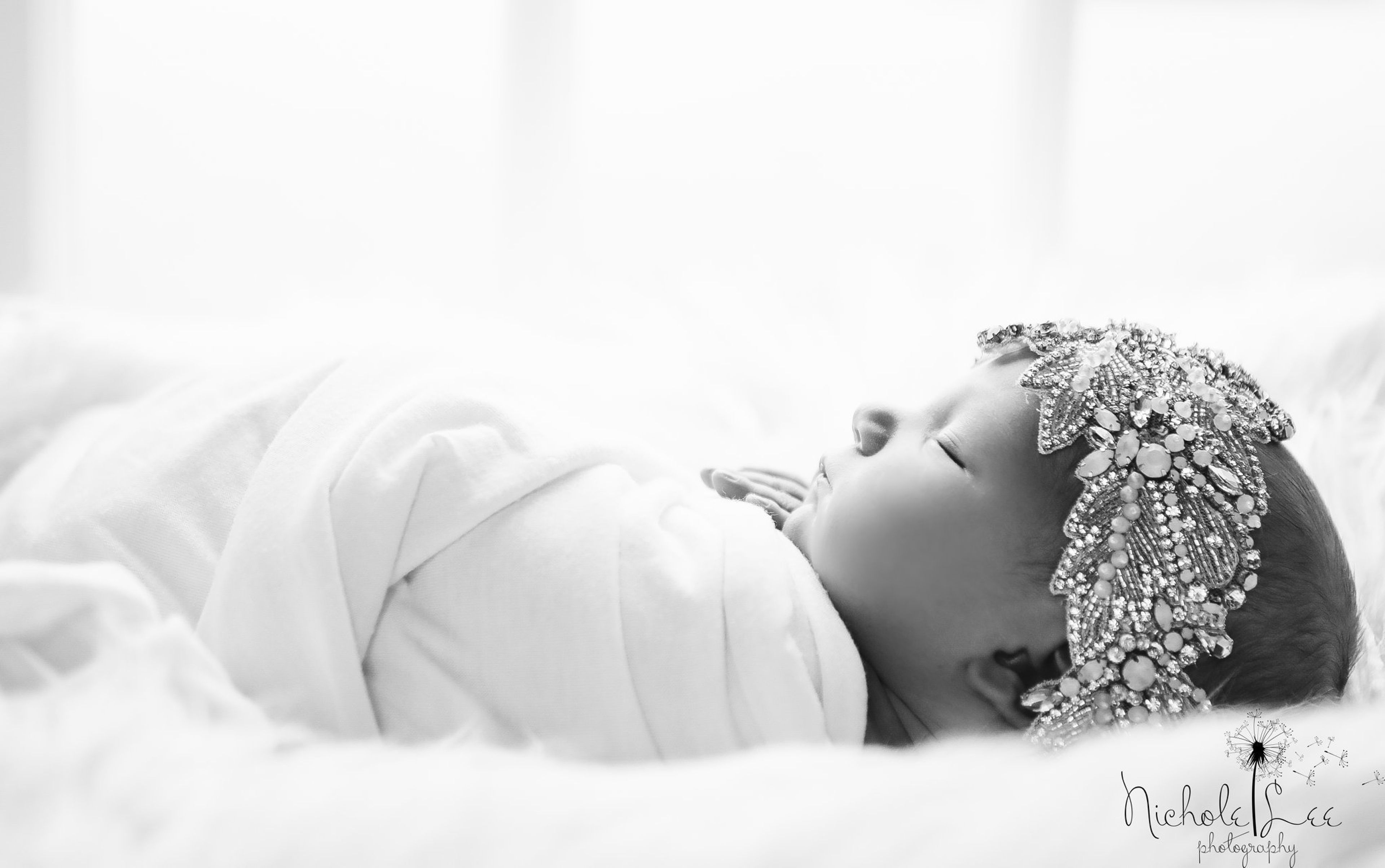 Cover photo of Nichole Lee Photography