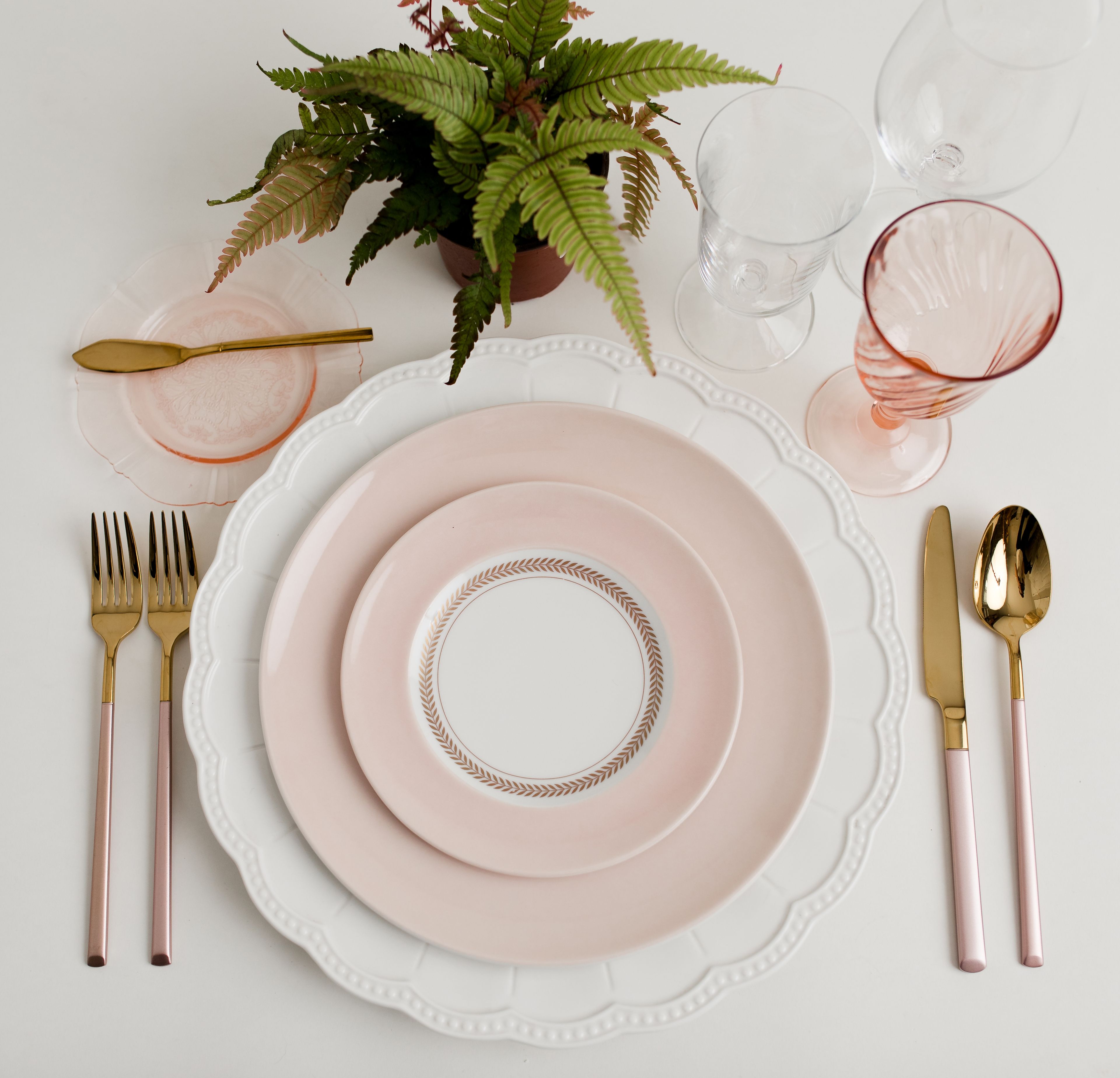 Cover photo of The Festive Frog