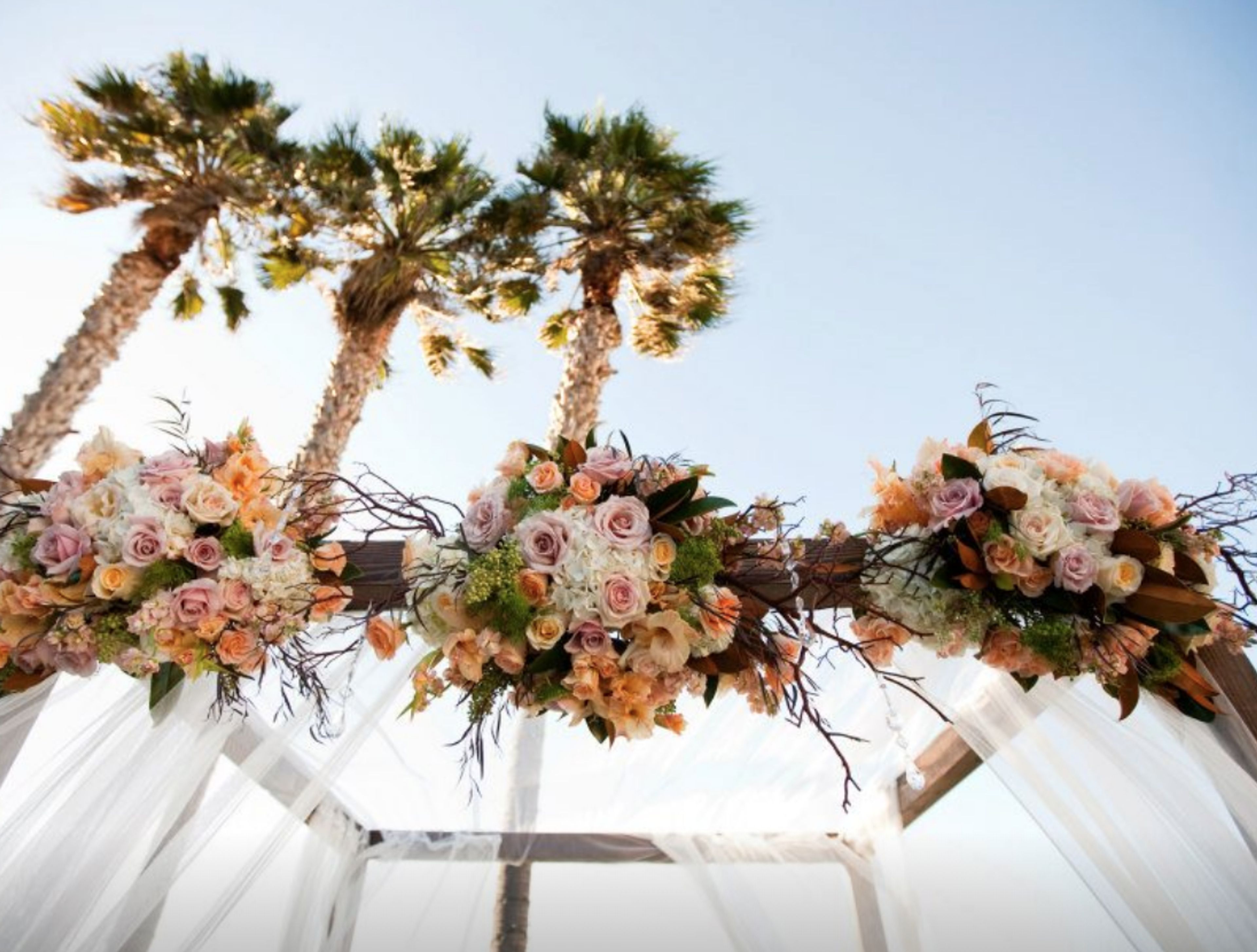 Cover photo of Posies Flowers